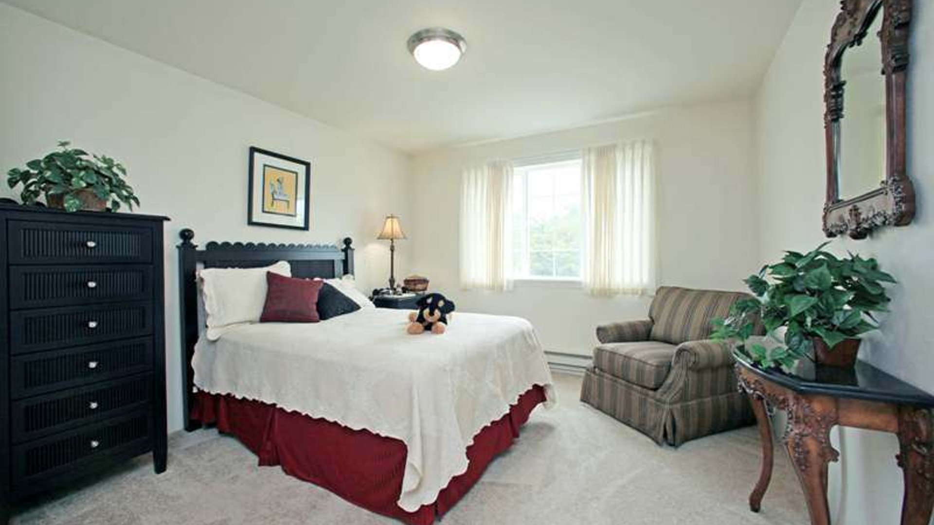 System.Collections.Generic.List`1[AFS.Common.Models.Photo] - Image 5