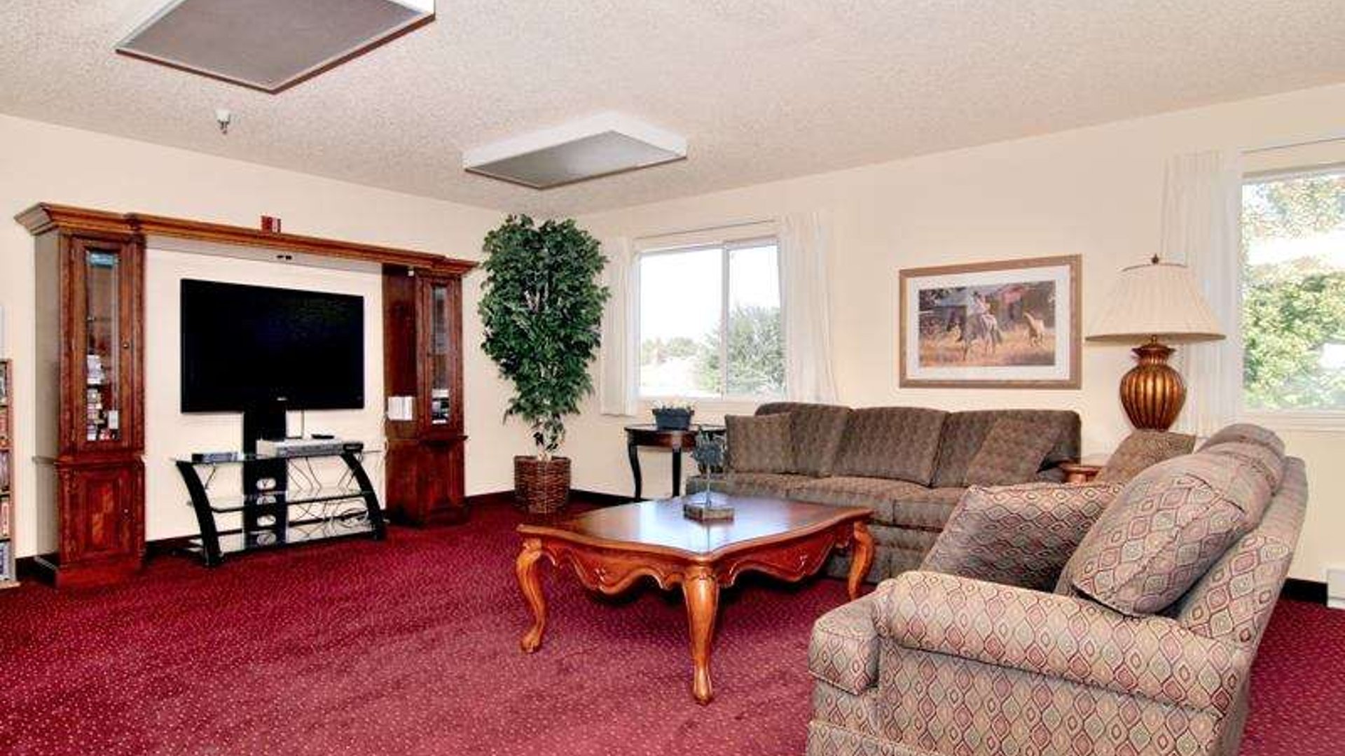 System.Collections.Generic.List`1[AFS.Common.Models.Photo] - Image 2