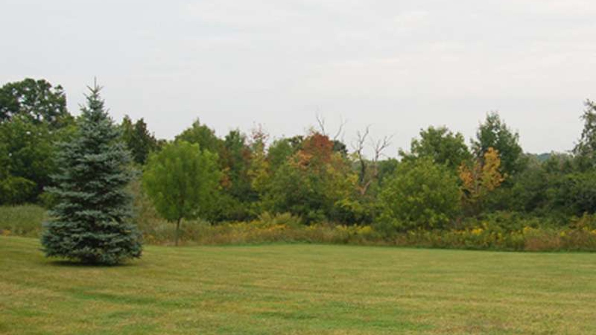 System.Collections.Generic.List`1[AFS.Common.Models.Photo] - Image 3