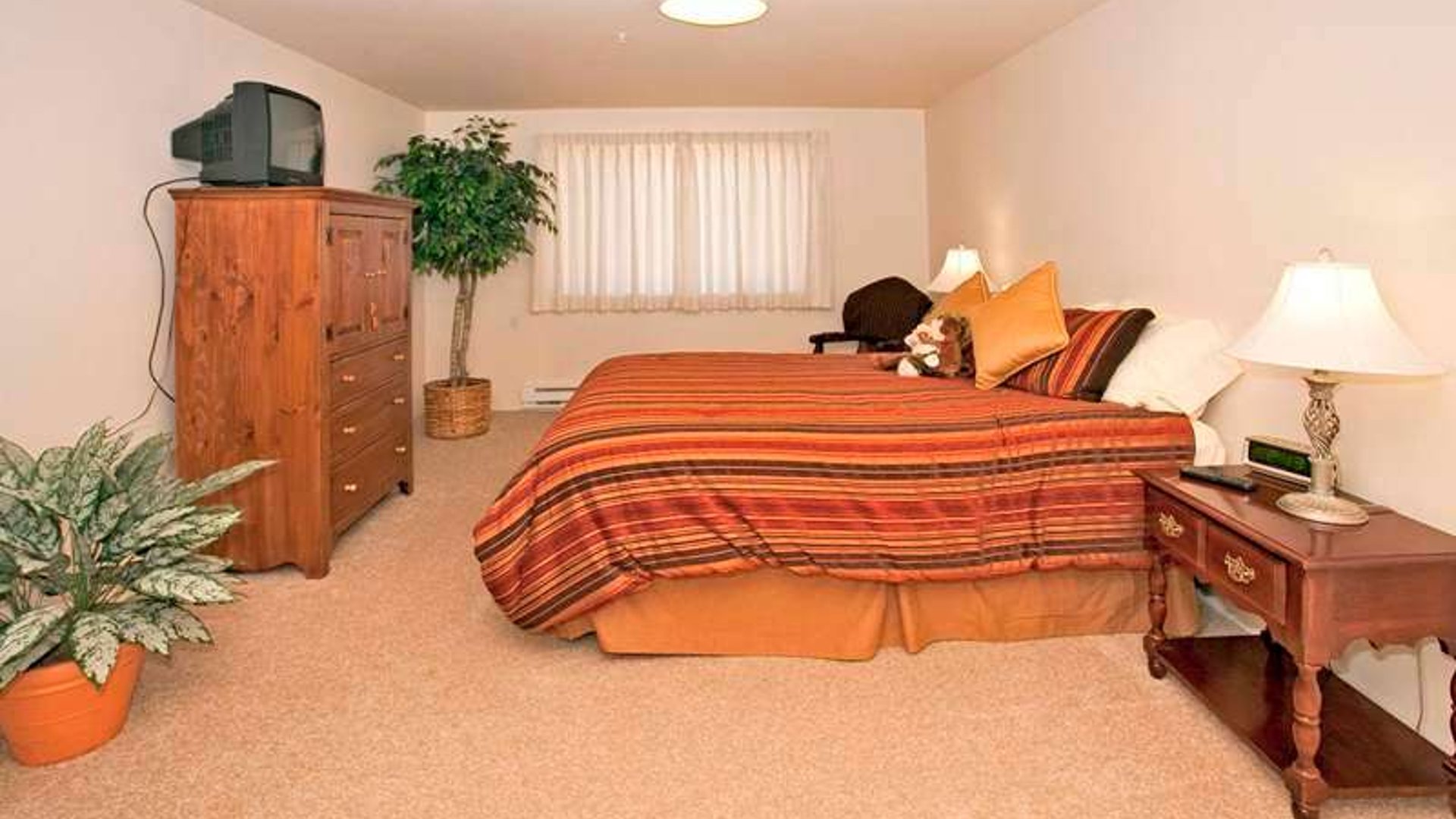 System.Collections.Generic.List`1[AFS.Common.Models.Photo] - Image 5