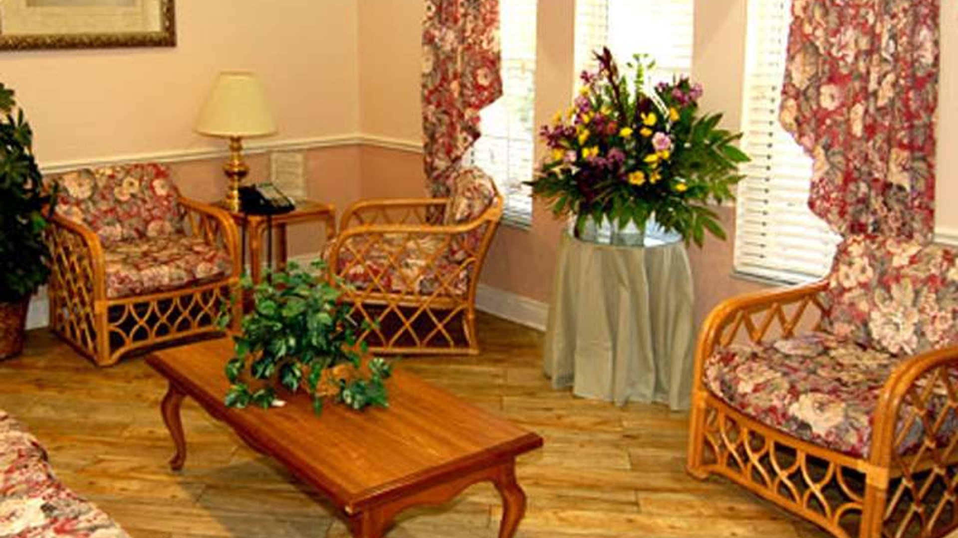 System.Collections.Generic.List`1[AFS.Common.Models.Photo] - Image 2