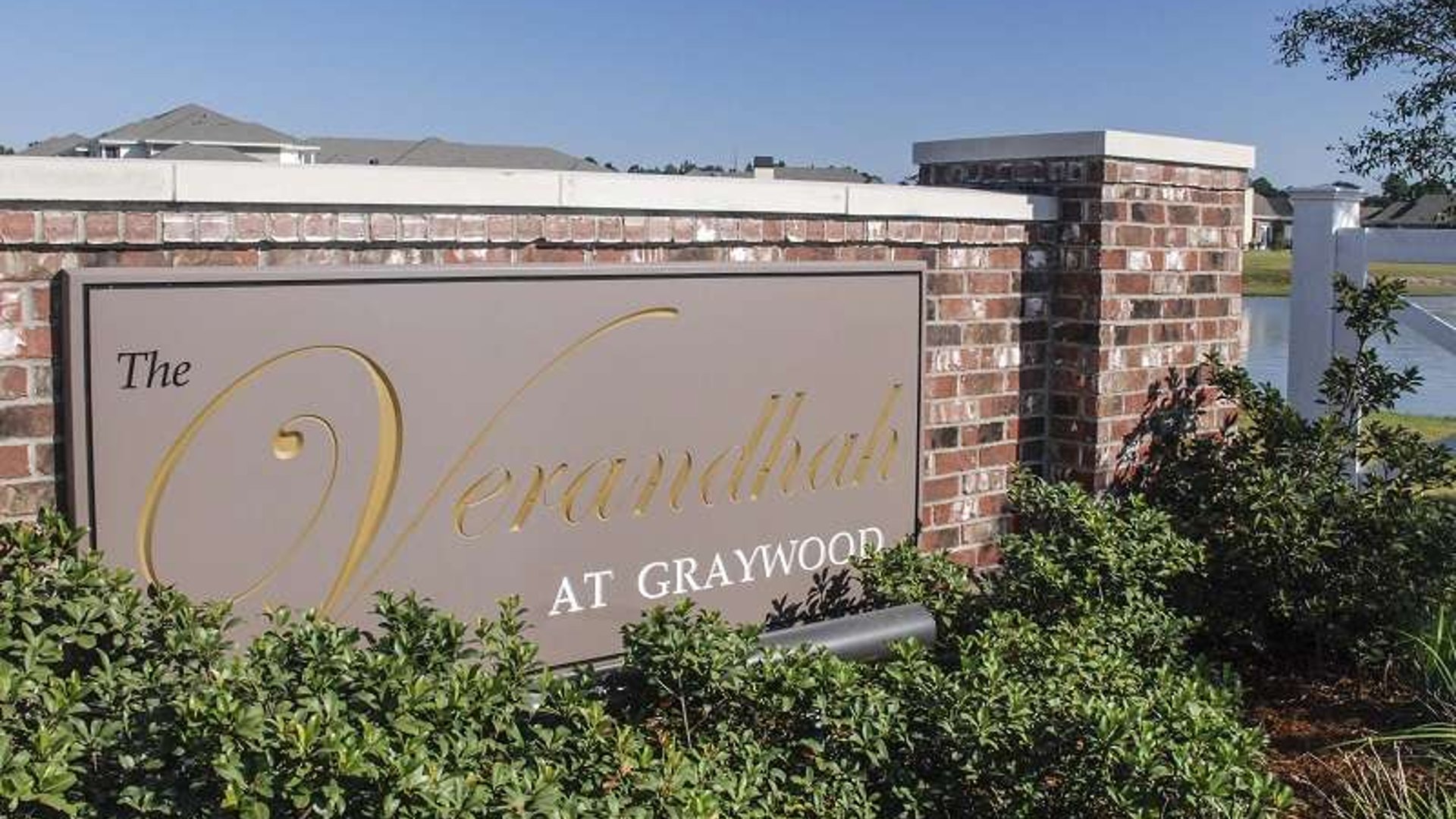 System.Collections.Generic.List`1[AFS.Common.Models.Photo] - Image 1