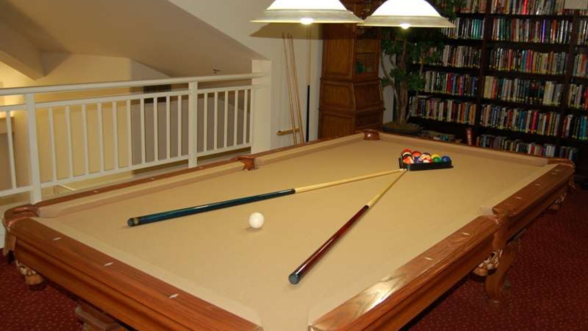 System.Collections.Generic.List`1[AFS.Common.Models.Photo] - Image 4