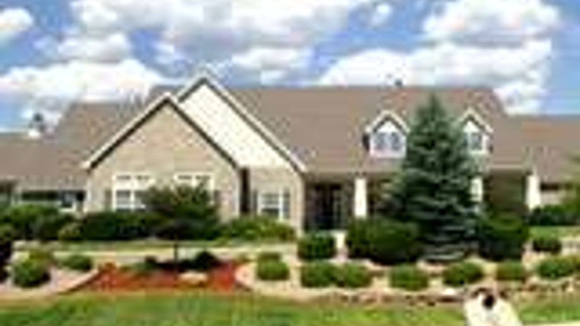 System.Collections.Generic.List`1[AFS.Common.Models.Photo] - Image 1