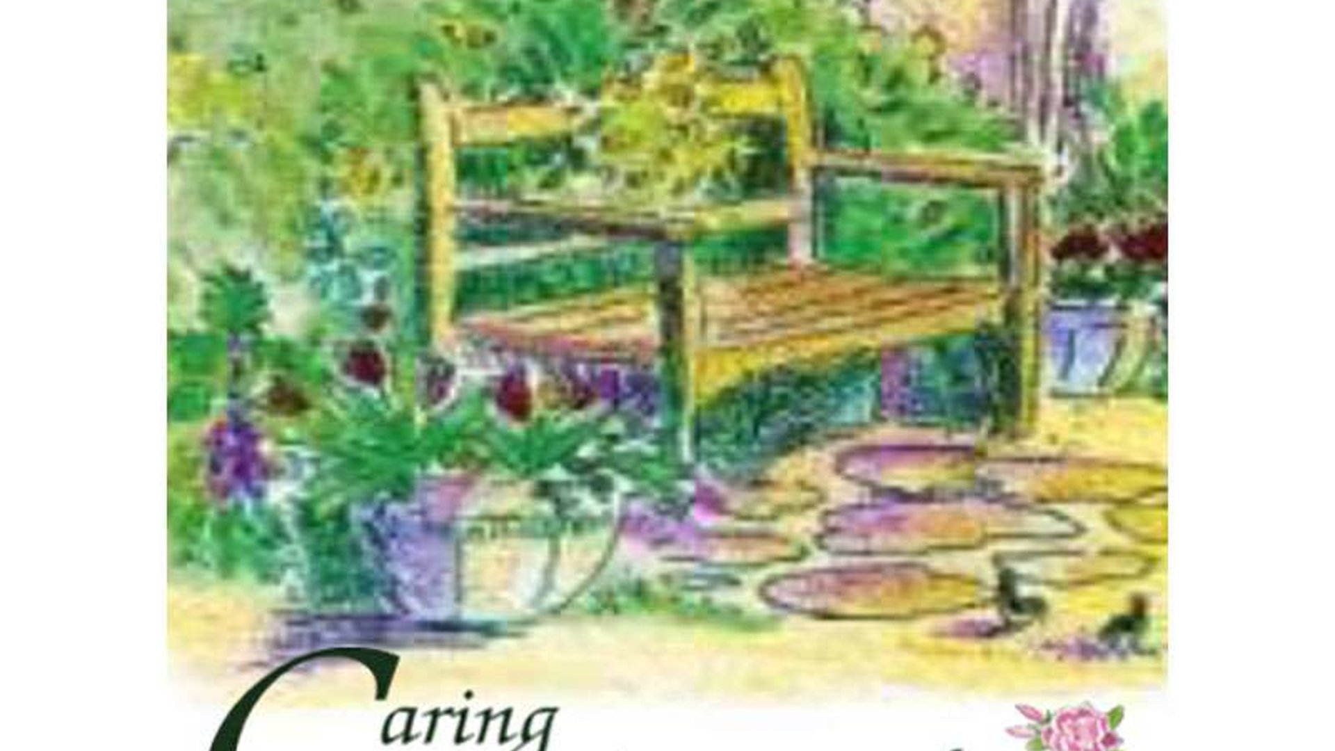 System.Collections.Generic.List`1[AFS.Common.Models.Photo] - Image 1