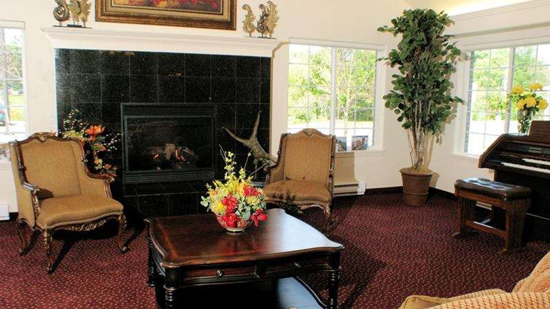 System.Collections.Generic.List`1[AFS.Common.Models.Photo] - Image 2