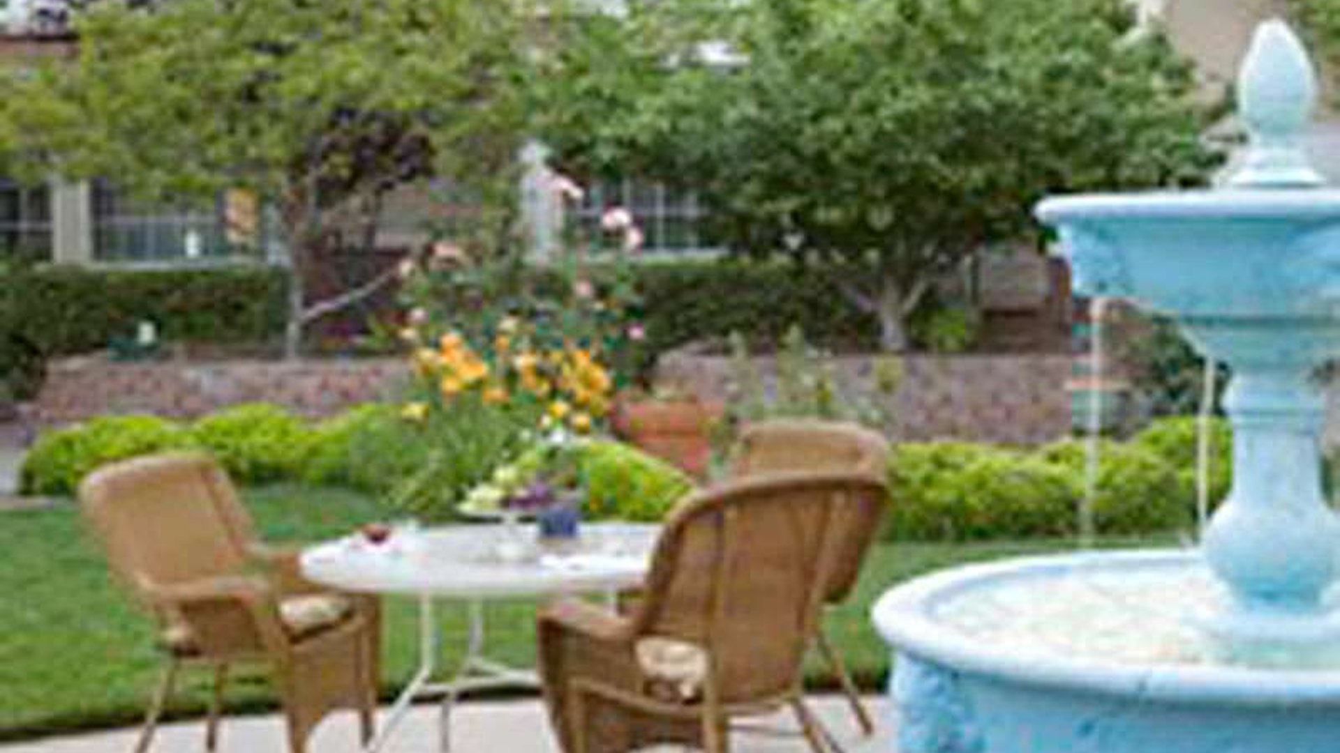 System.Collections.Generic.List`1[AFS.Common.Models.Photo] - Image 2