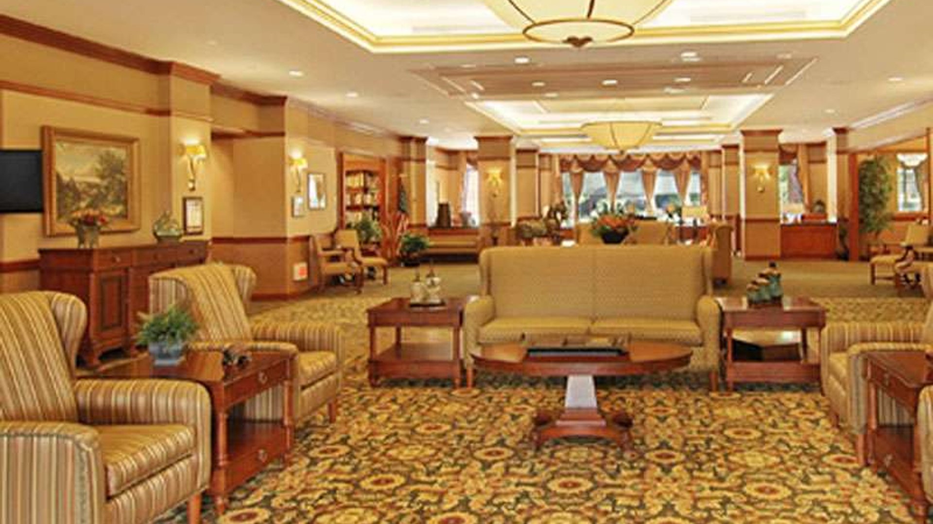 System.Collections.Generic.List`1[AFS.Common.Models.Photo] - Image 4