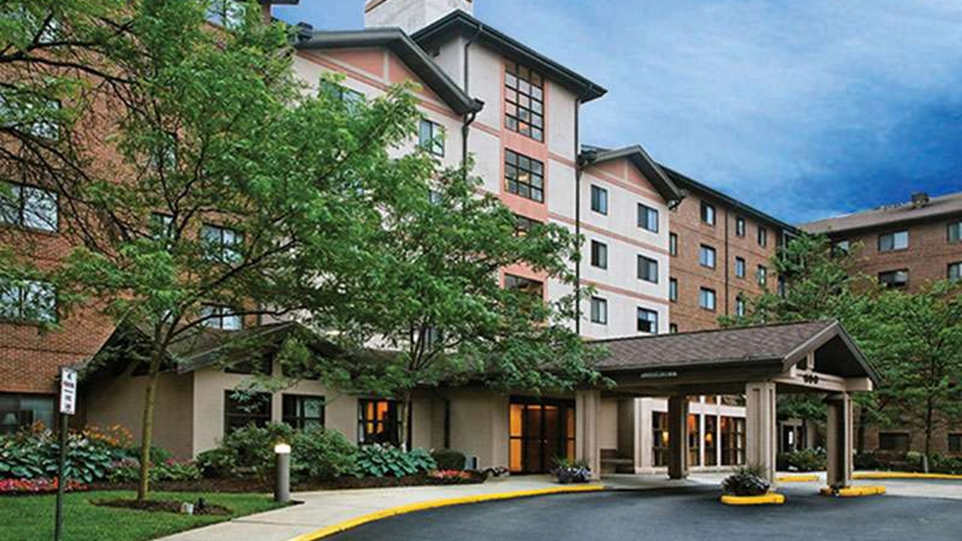 System.Collections.Generic.List`1[AFS.Common.Models.Photo] - Image 1