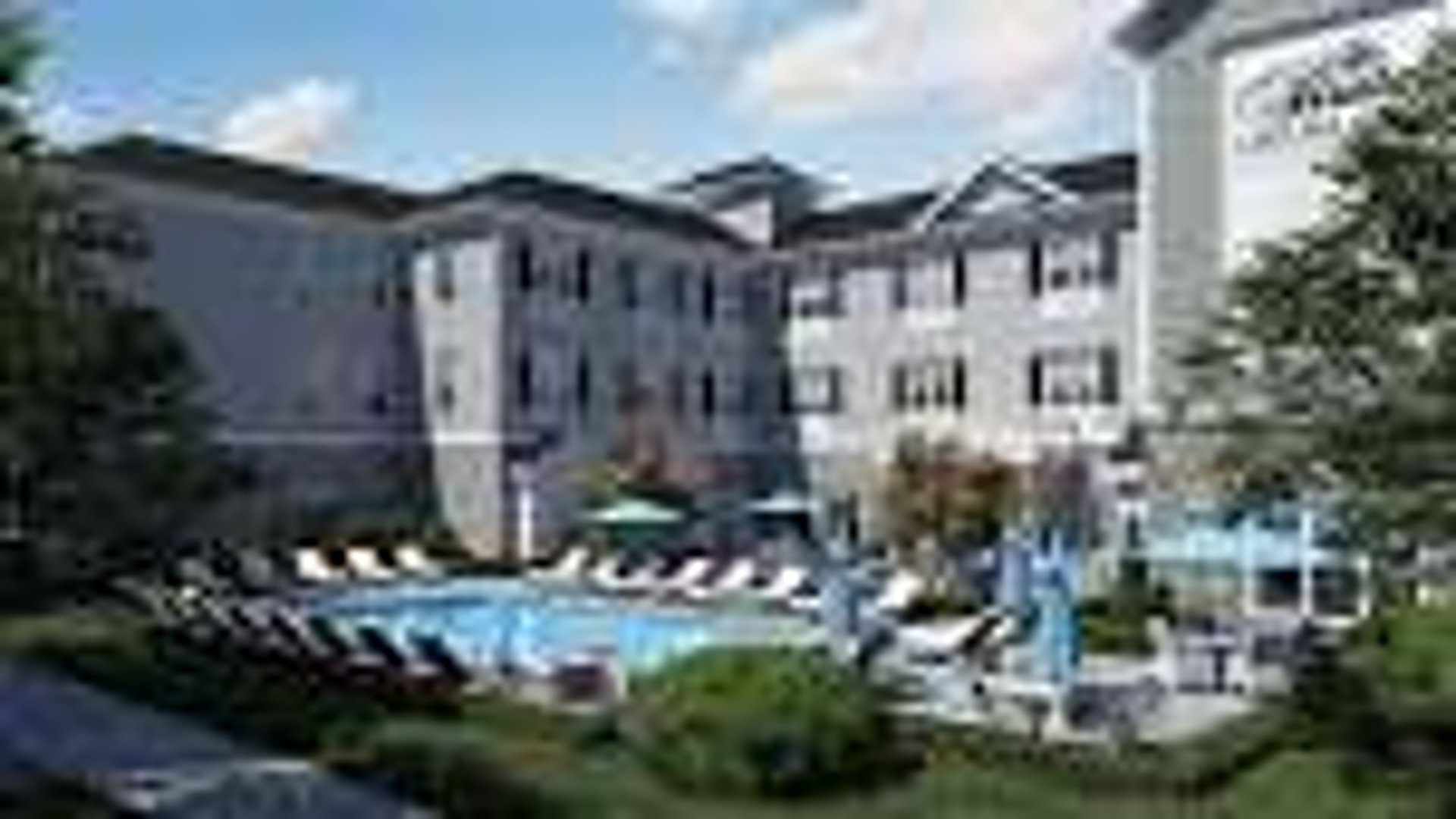 System.Collections.Generic.List`1[AFS.Common.Models.Photo] - Image 1