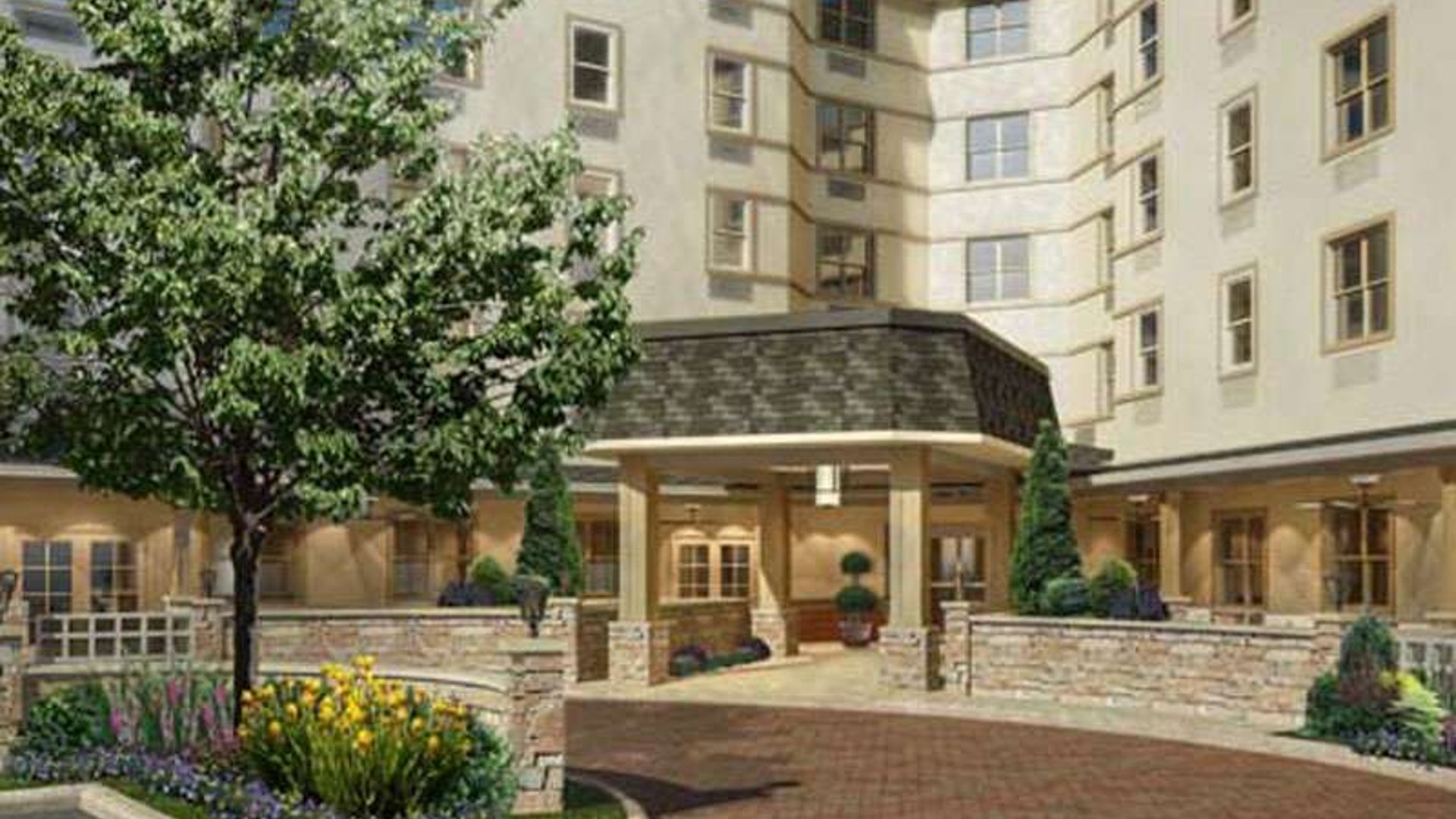 System.Collections.Generic.List`1[AFS.Common.Models.Photo] - Image 1