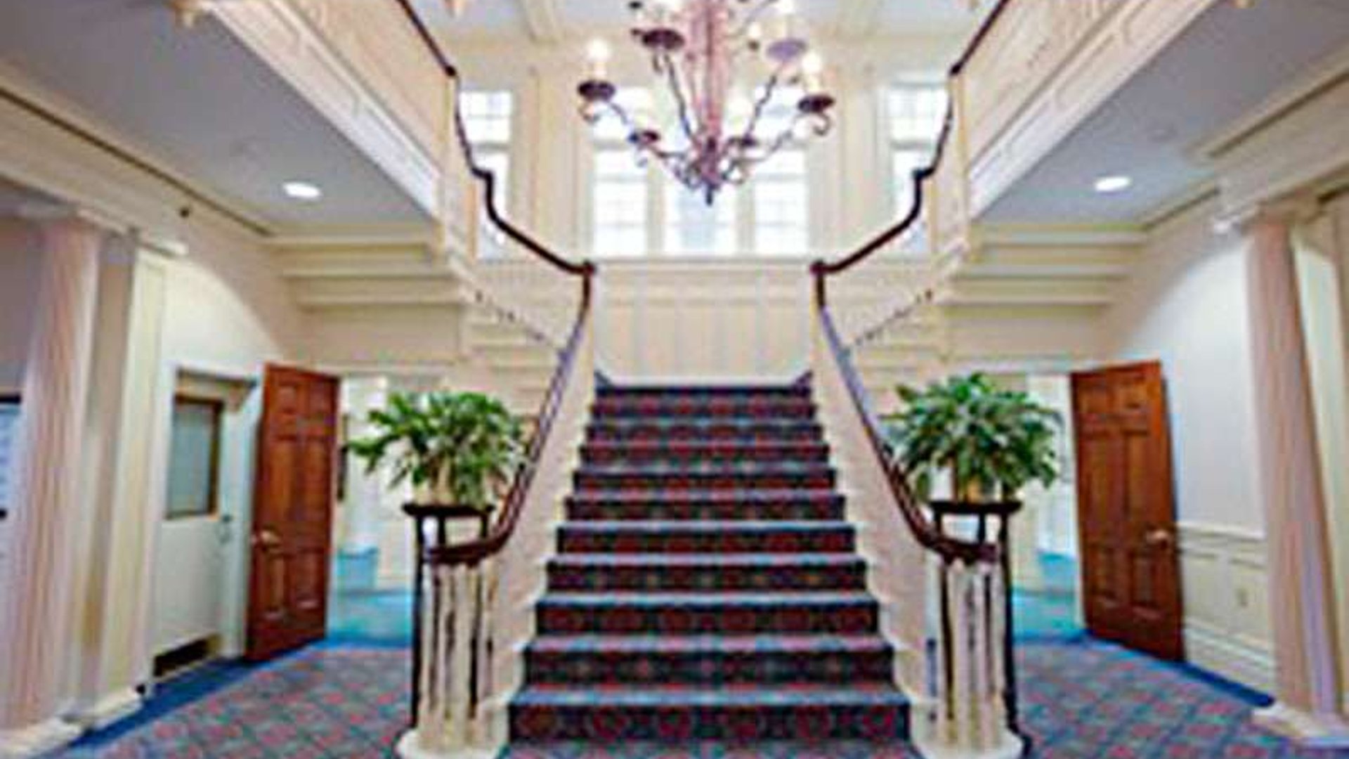 System.Collections.Generic.List`1[AFS.Common.Models.Photo] - Image 3