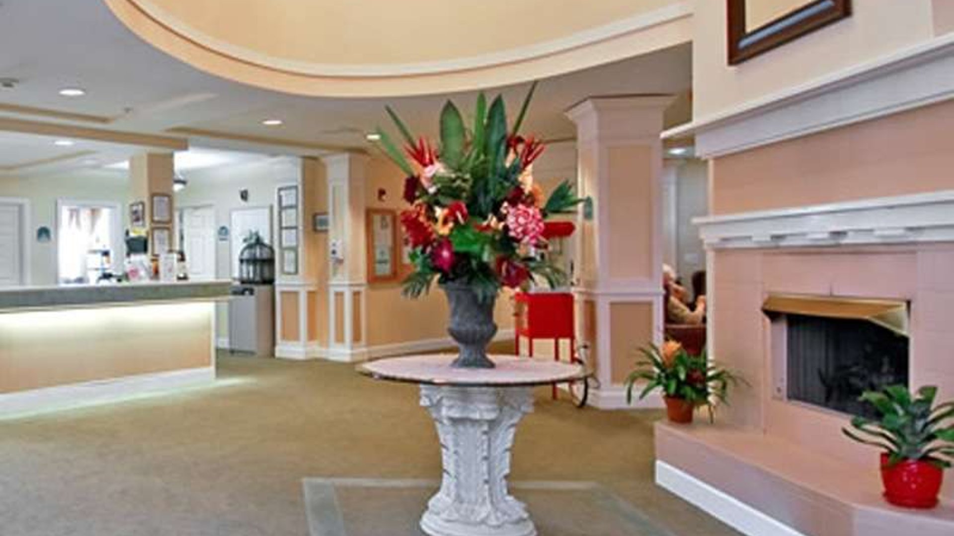 System.Collections.Generic.List`1[AFS.Common.Models.Photo] - Image 2