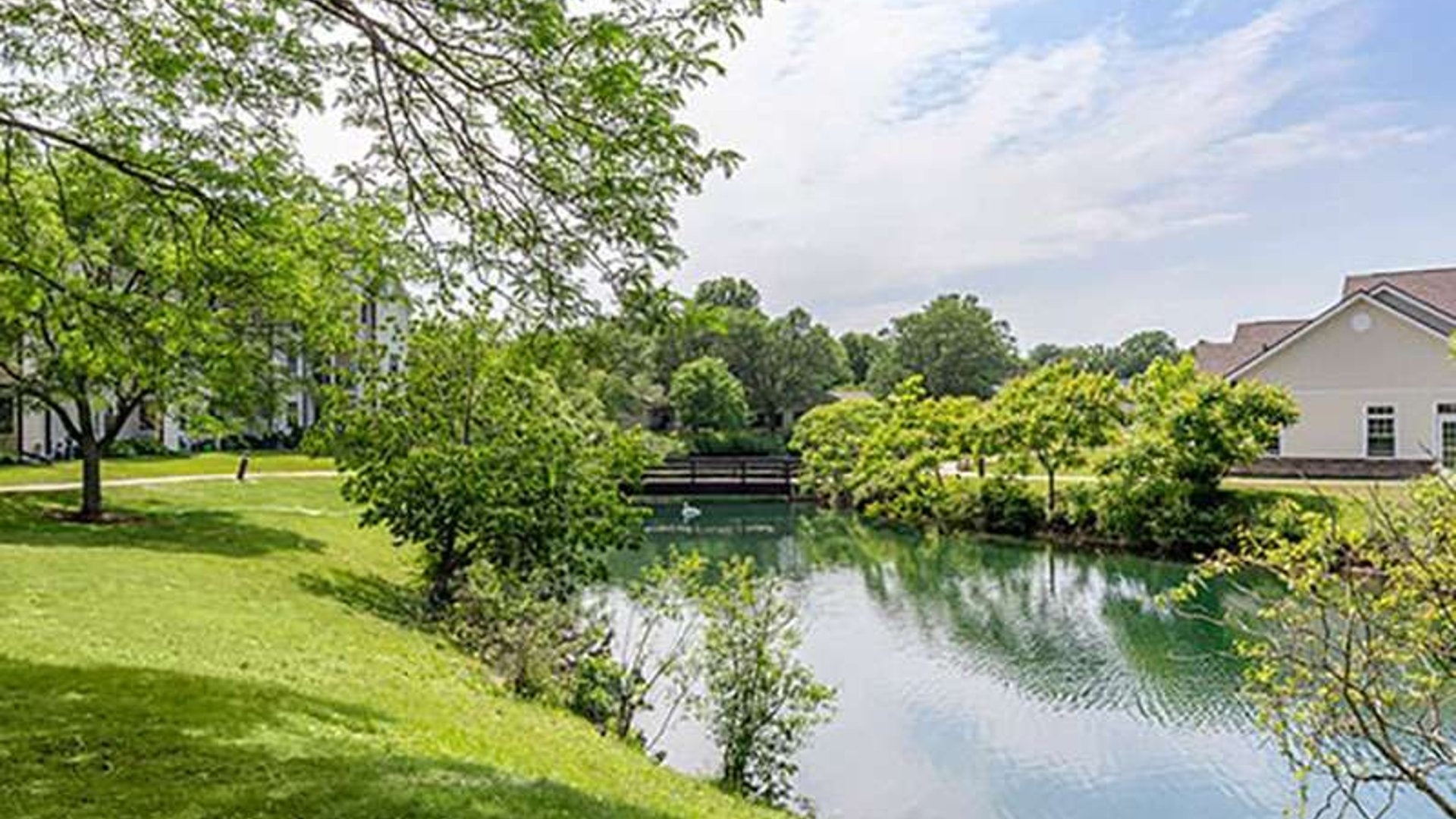 System.Collections.Generic.List`1[AFS.Common.Models.Photo] - Image 3