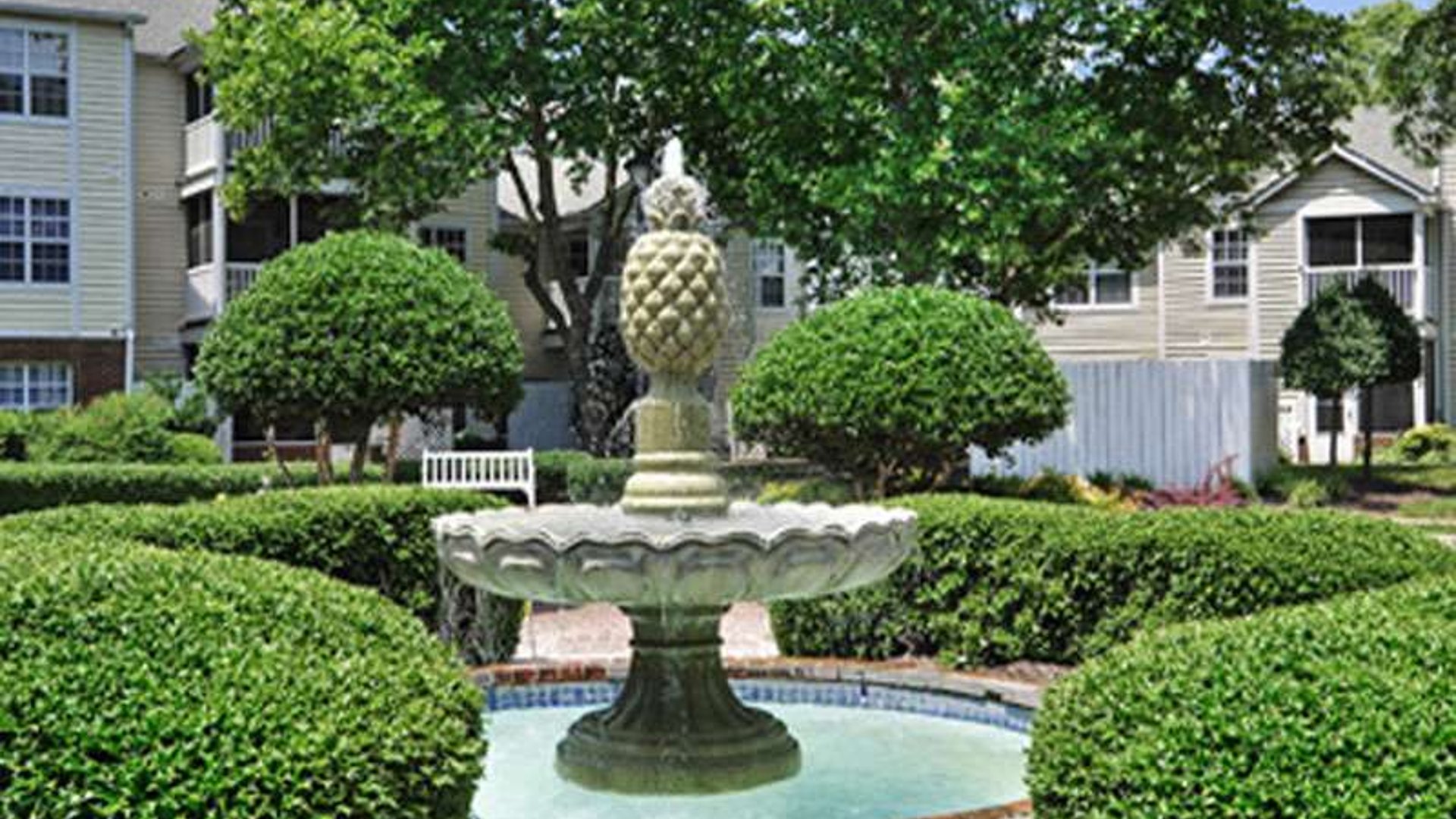 System.Collections.Generic.List`1[AFS.Common.Models.Photo] - Image 2