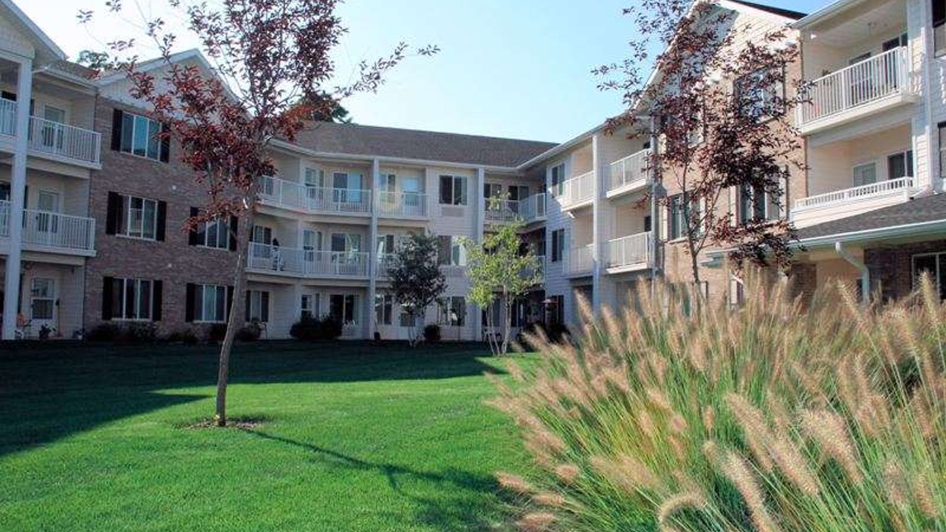 System.Collections.Generic.List`1[AFS.Common.Models.Photo] - Image 1