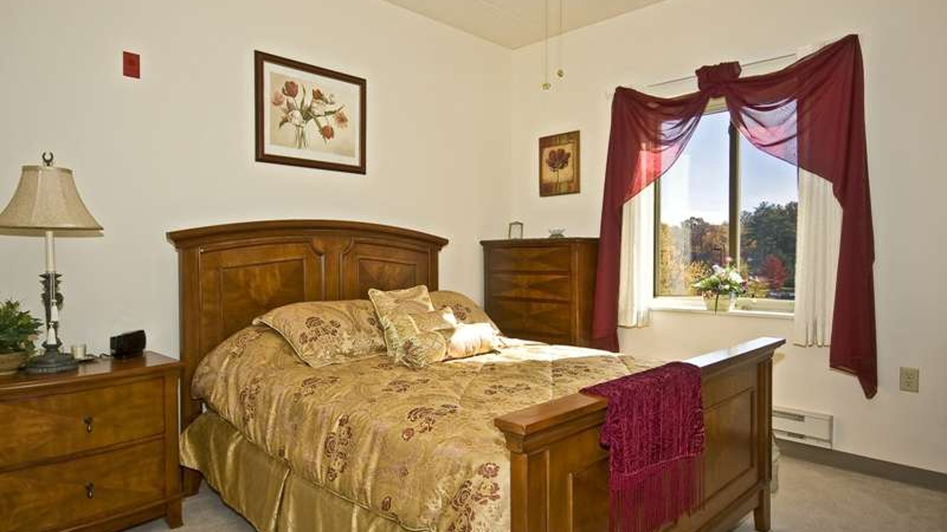 System.Collections.Generic.List`1[AFS.Common.Models.Photo] - Image 5