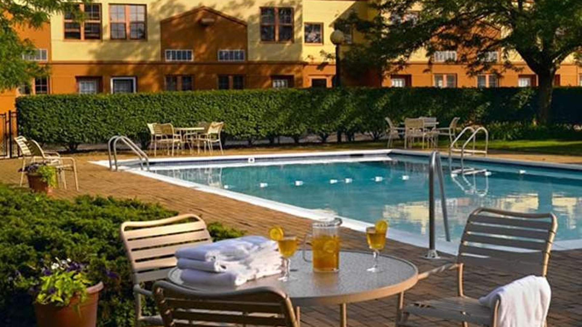 System.Collections.Generic.List`1[AFS.Common.Models.Photo] - Image 2