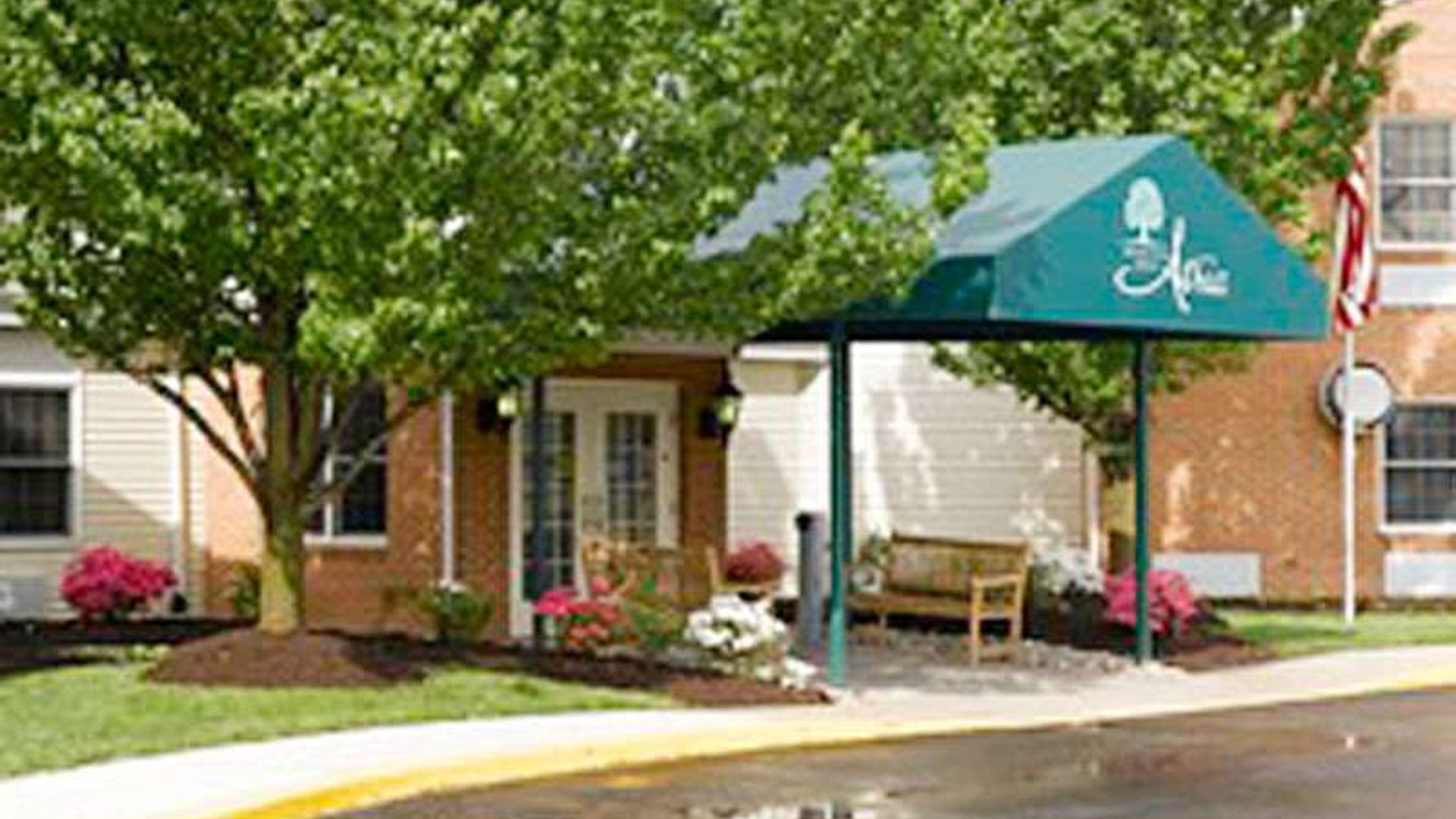 System.Collections.Generic.List`1[AFS.Common.Models.Photo] - Image 1