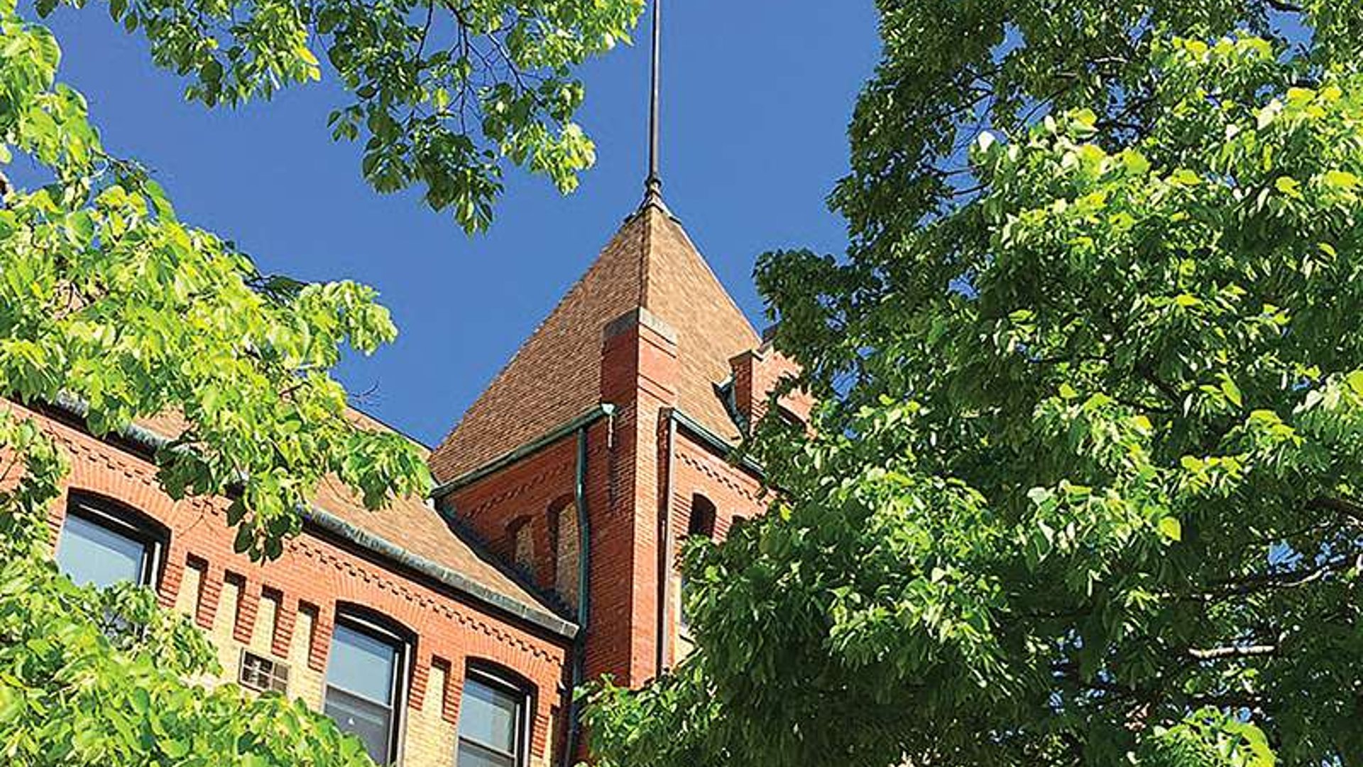 System.Collections.Generic.List`1[AFS.Common.Models.Photo] - Image 1