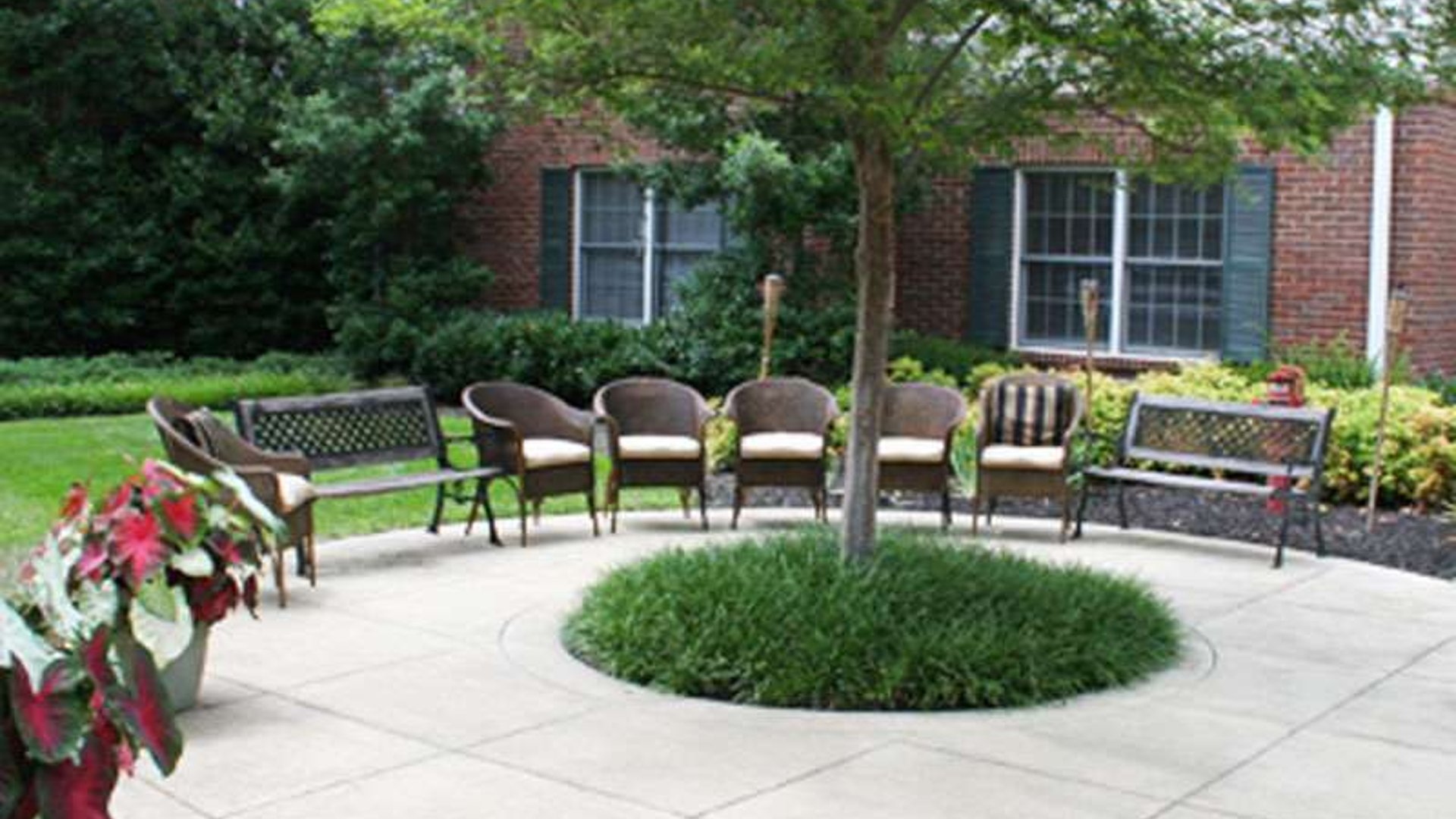 System.Collections.Generic.List`1[AFS.Common.Models.Photo] - Image 1