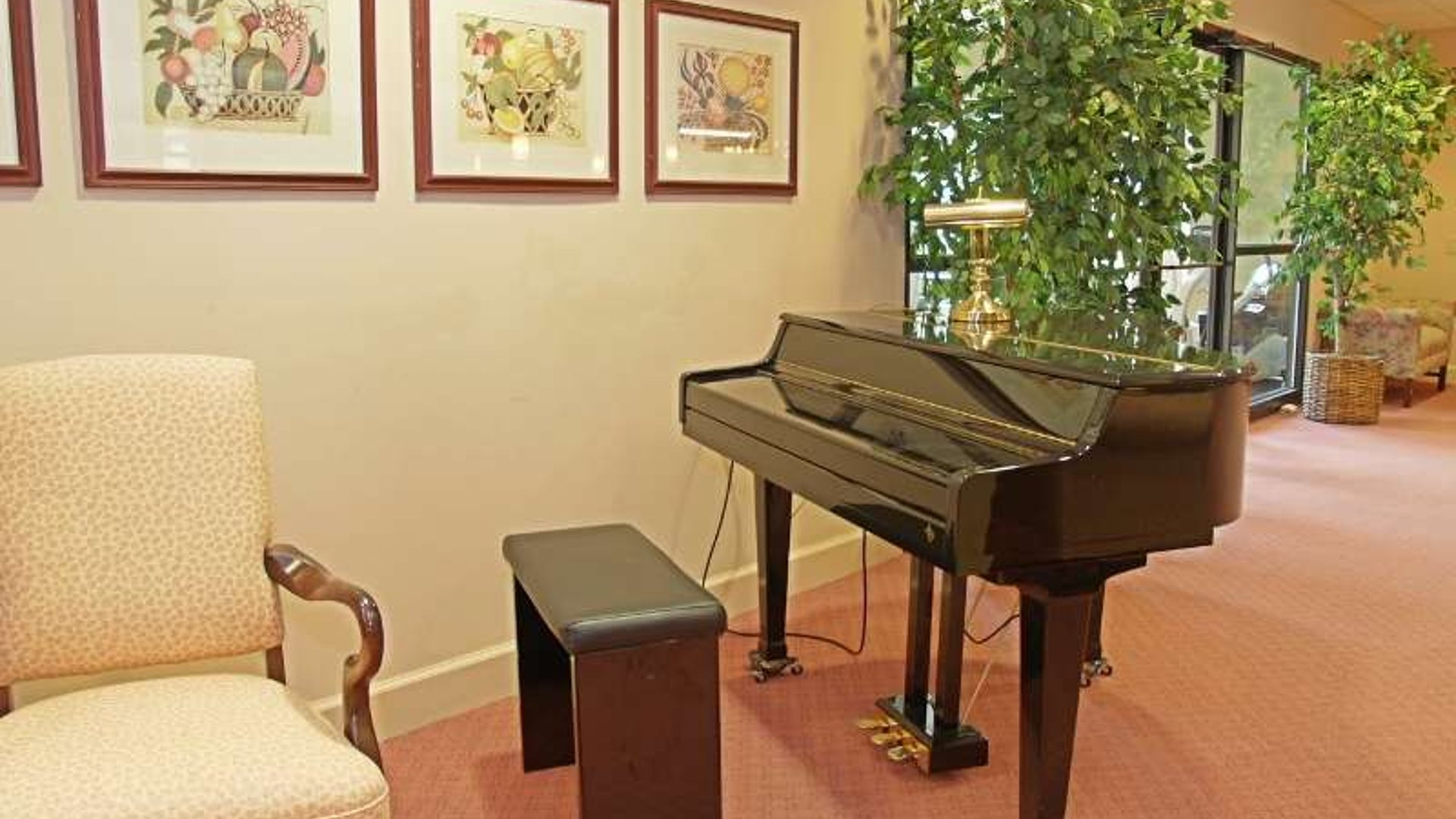 System.Collections.Generic.List`1[AFS.Common.Models.Photo] - Image 4