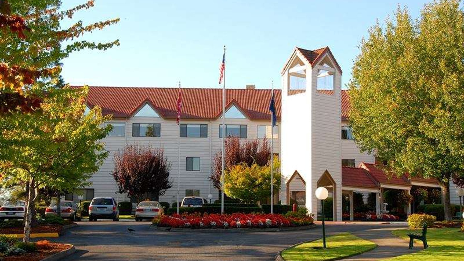 System.Collections.Generic.List`1[AFS.Common.Models.Photo] - Image 1