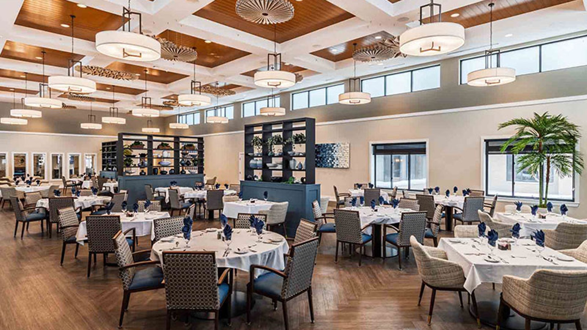 System.Collections.Generic.List`1[AFS.Common.Models.Photo] - Image 5