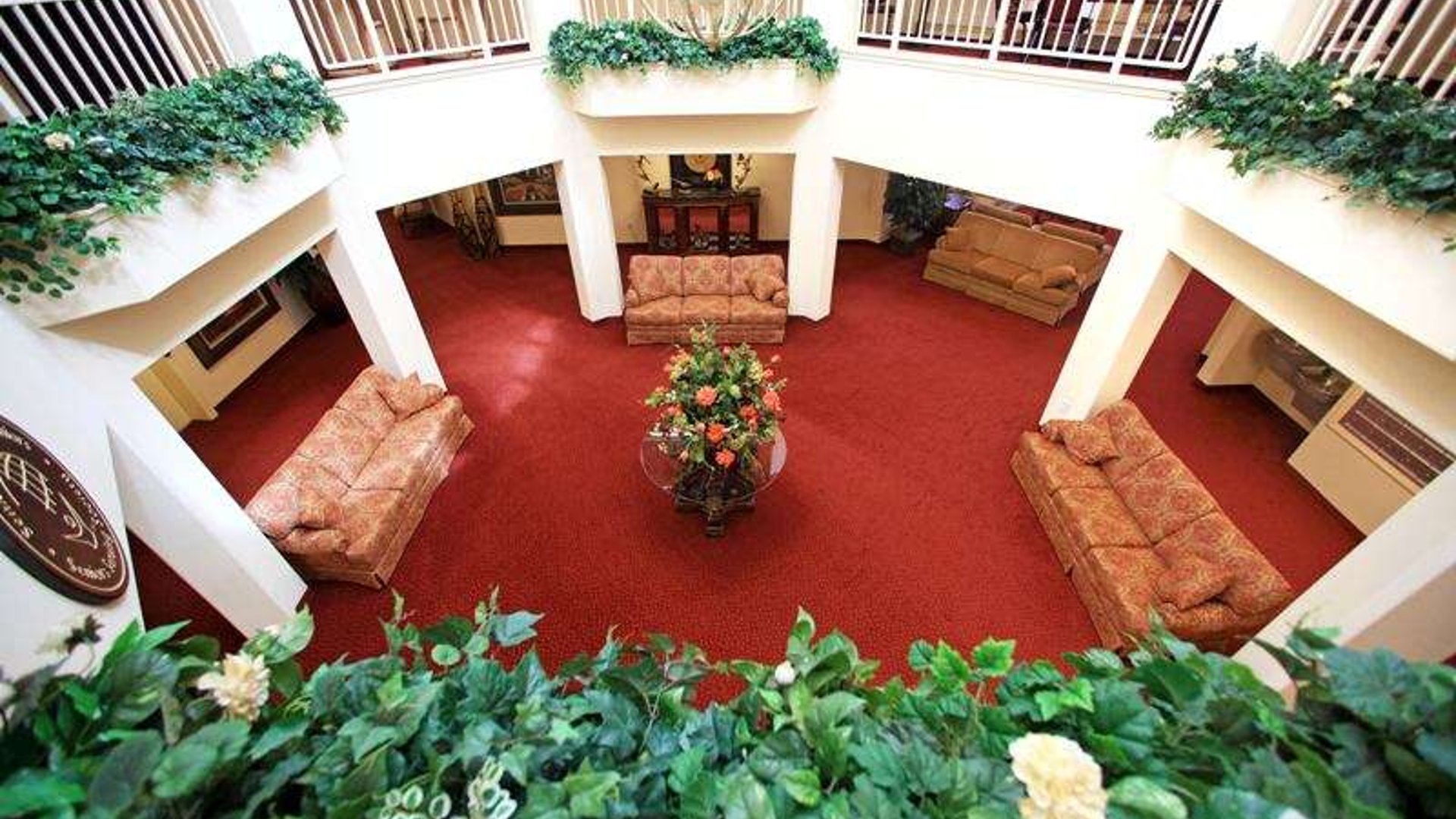 System.Collections.Generic.List`1[AFS.Common.Models.Photo] - Image 2