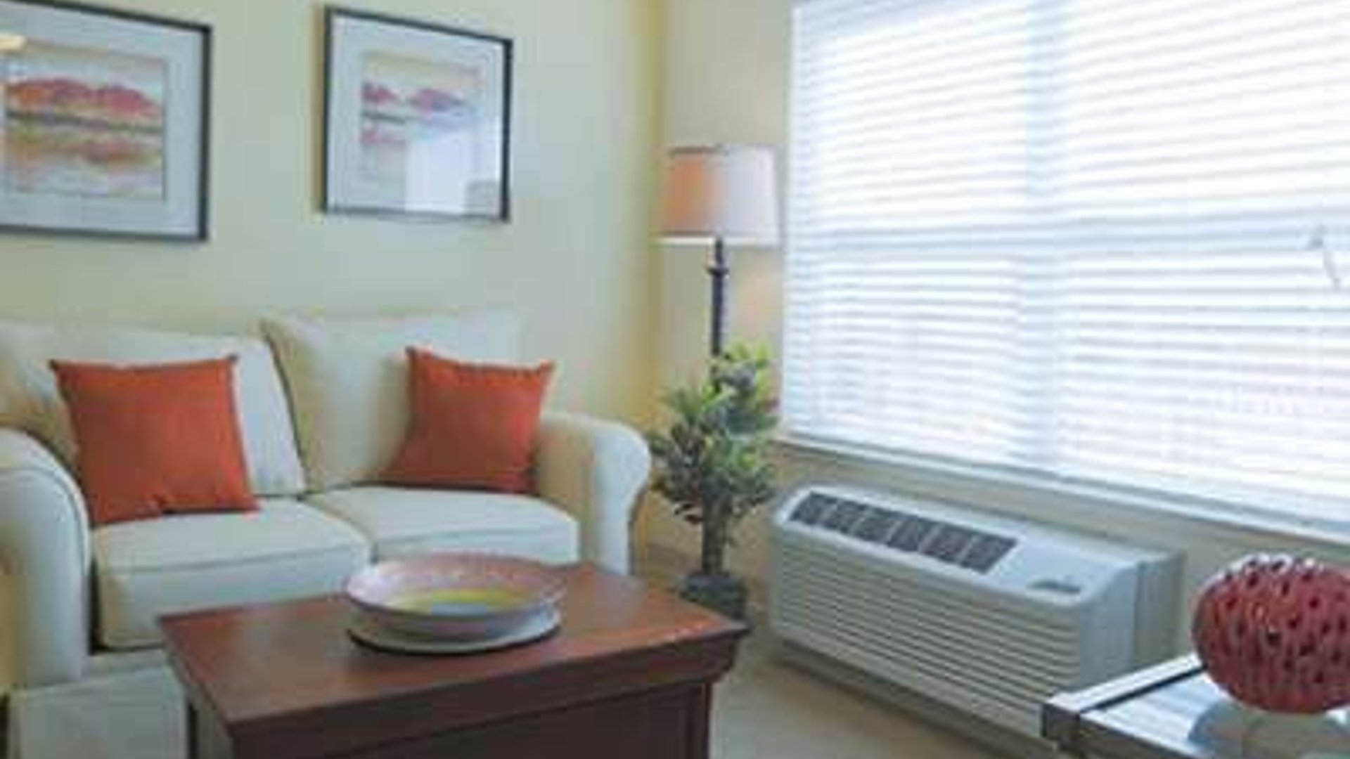 System.Collections.Generic.List`1[AFS.Common.Models.Photo] - Image 5