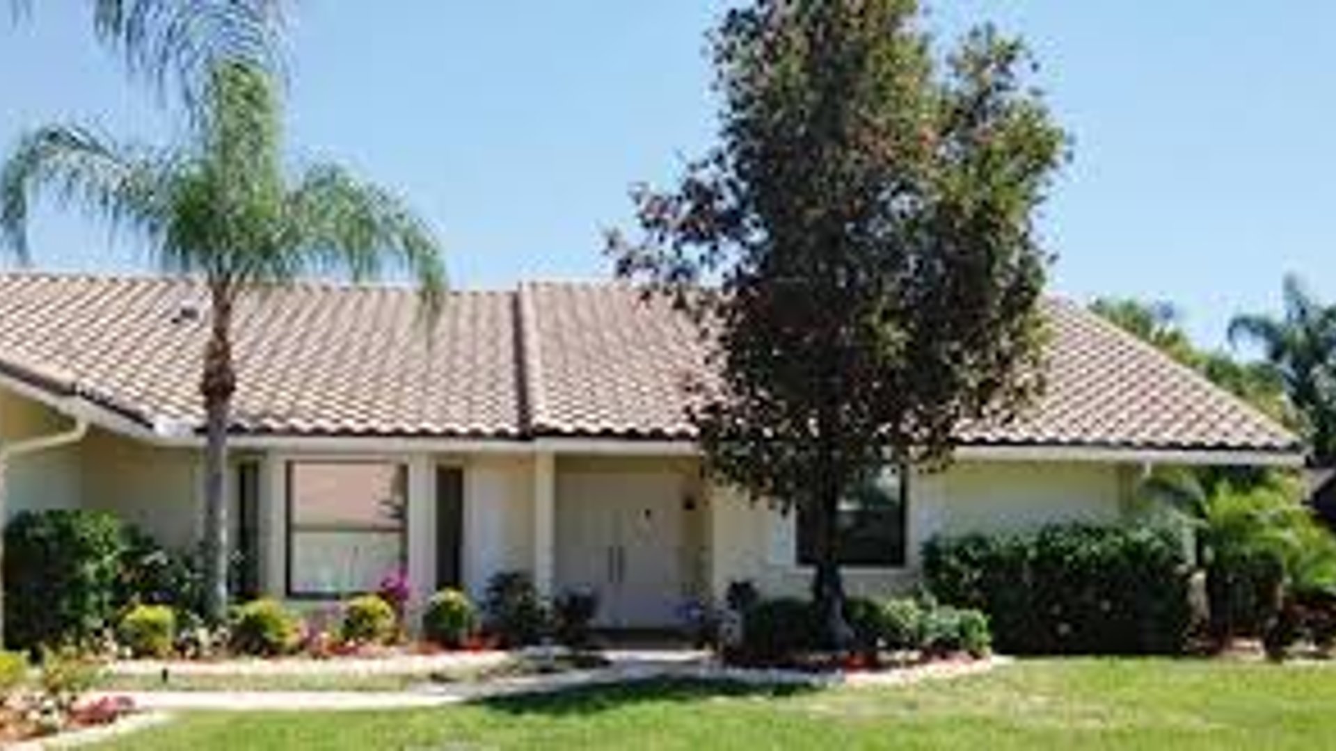 System.Collections.Generic.List`1[AFS.Common.Models.Photo] - Image 1