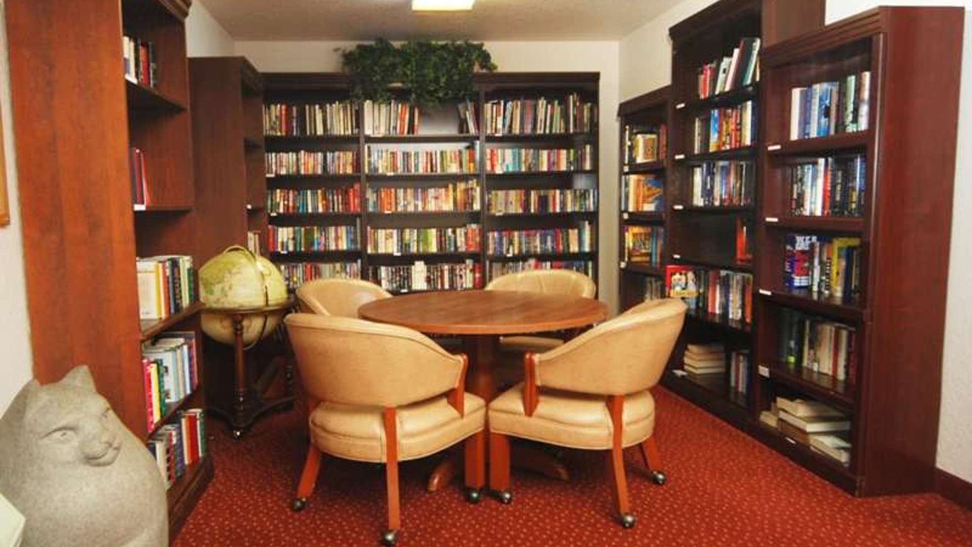 System.Collections.Generic.List`1[AFS.Common.Models.Photo] - Image 4