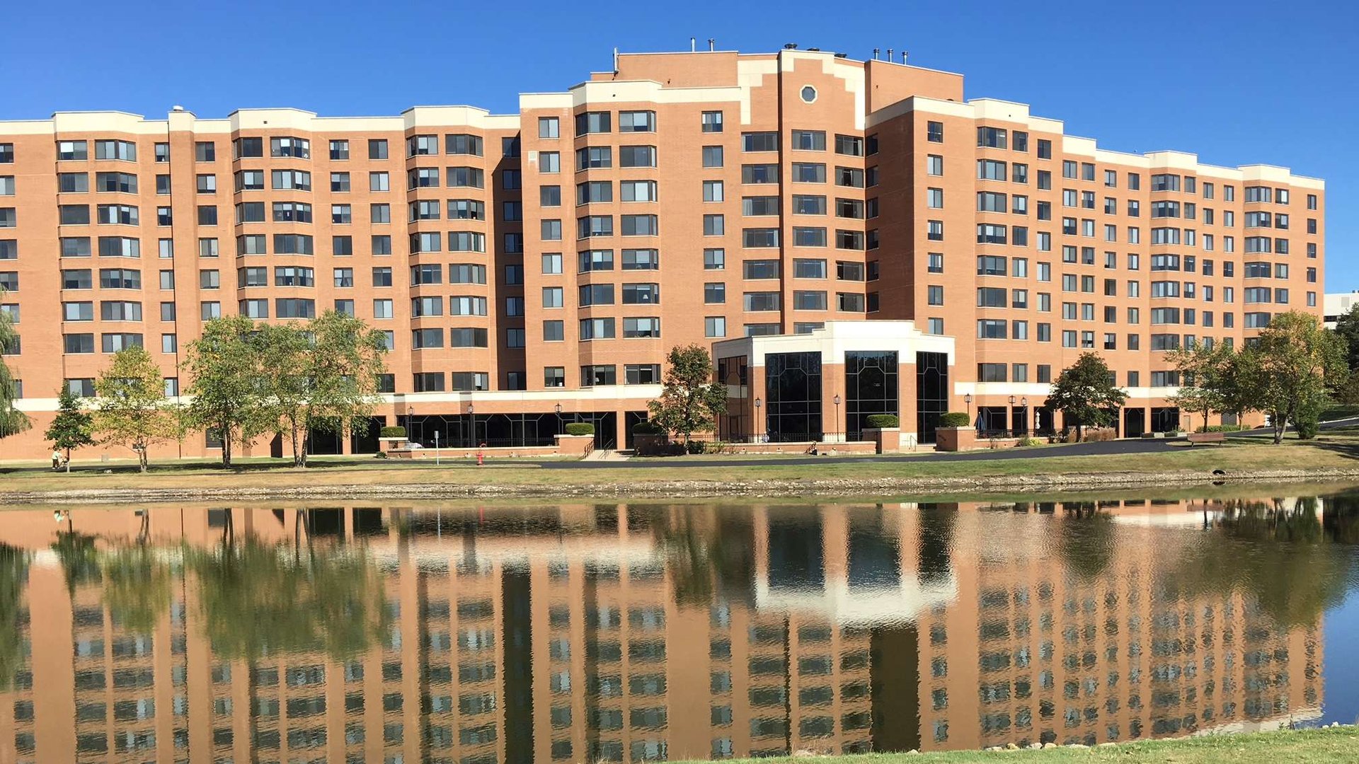 System.Collections.Generic.List`1[AFS.Common.Models.Photo] - Image 1