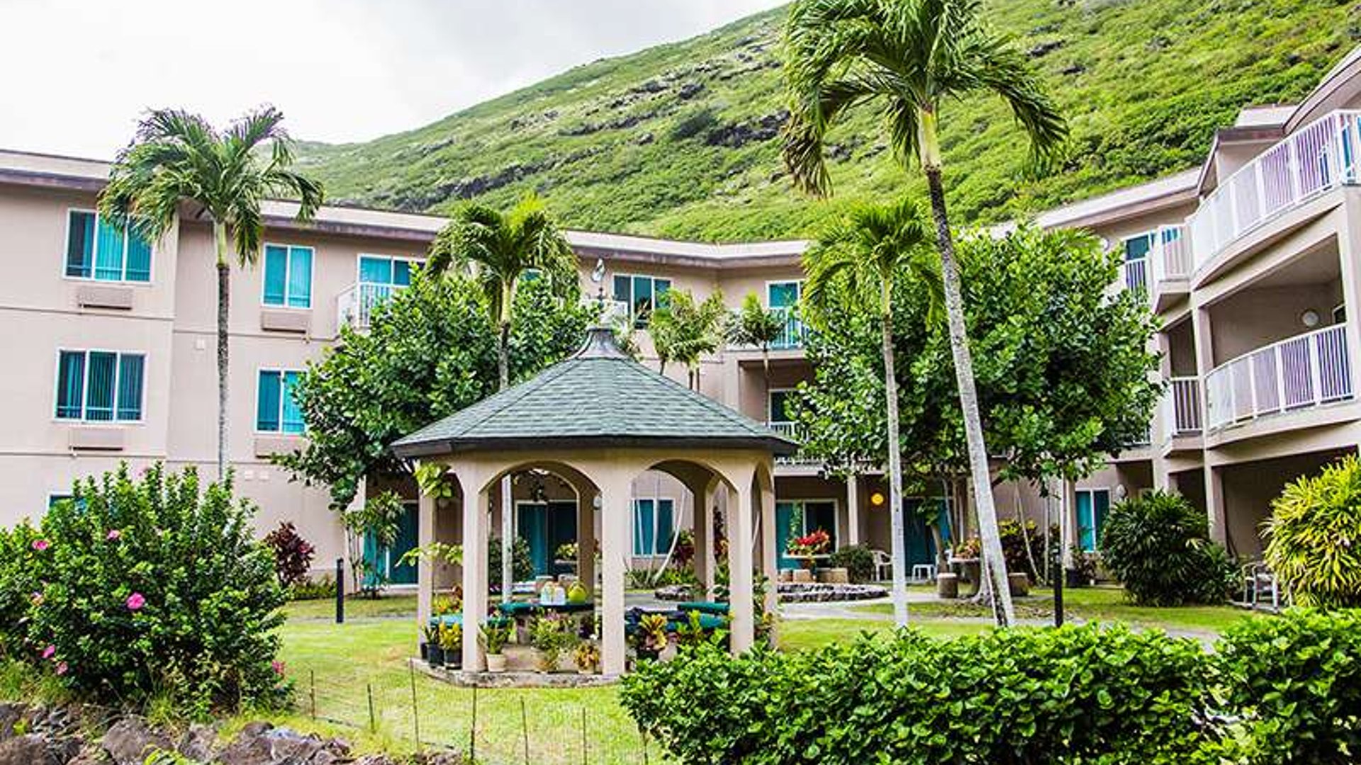 System.Collections.Generic.List`1[AFS.Common.Models.Photo] - Image 1