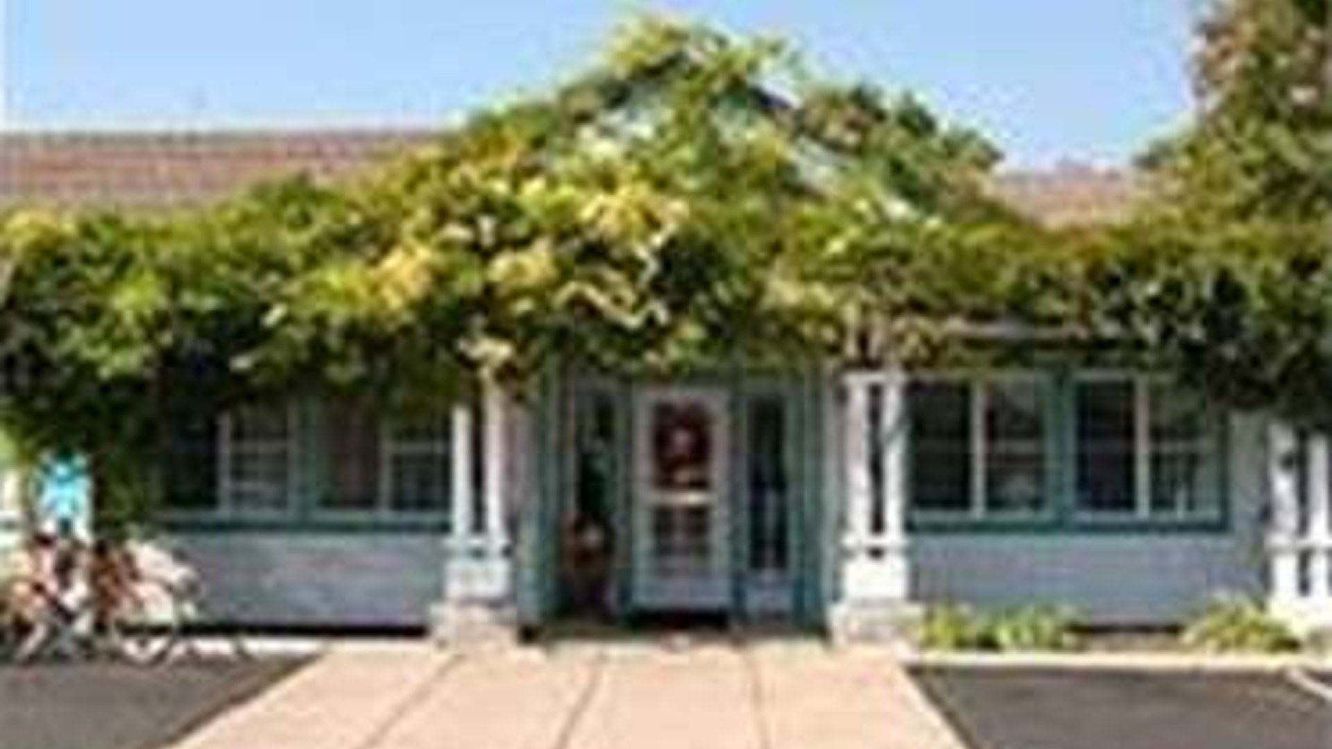 System.Collections.Generic.List`1[AFS.Common.Models.Photo] - Image 1