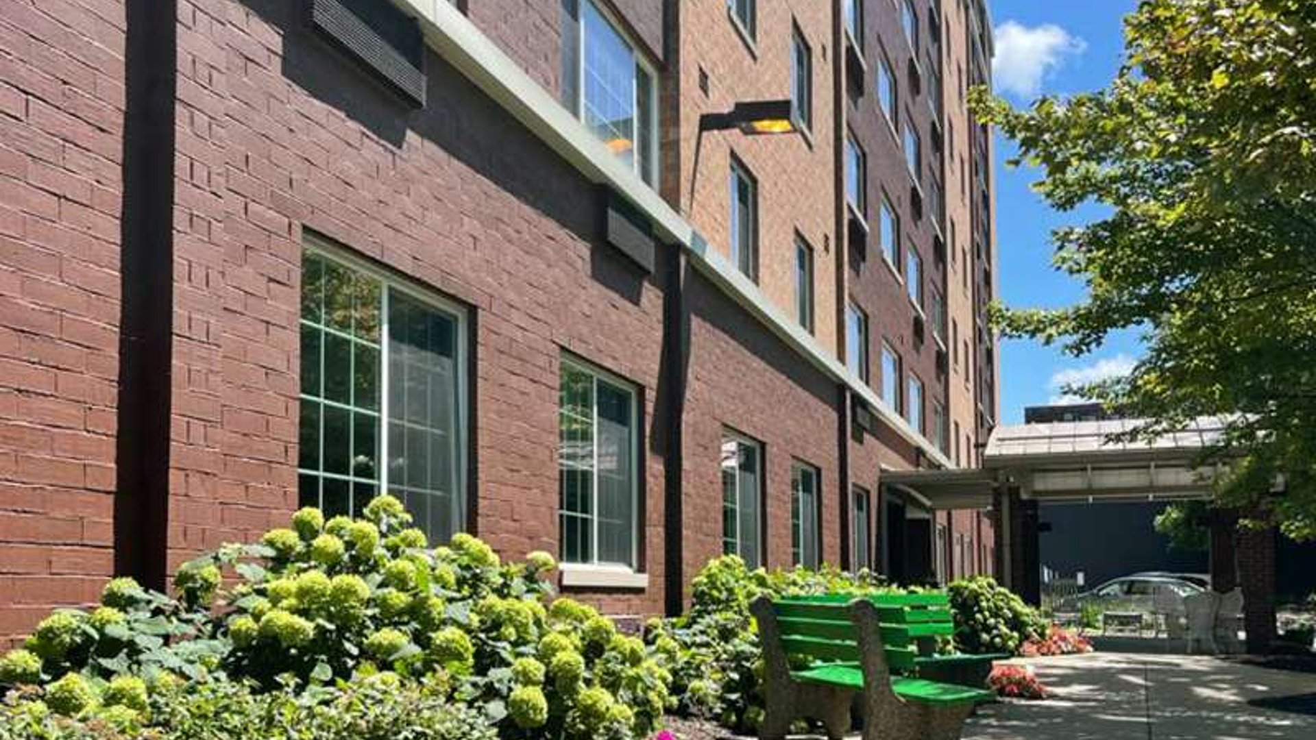 System.Collections.Generic.List`1[AFS.Common.Models.Photo] - Image 1