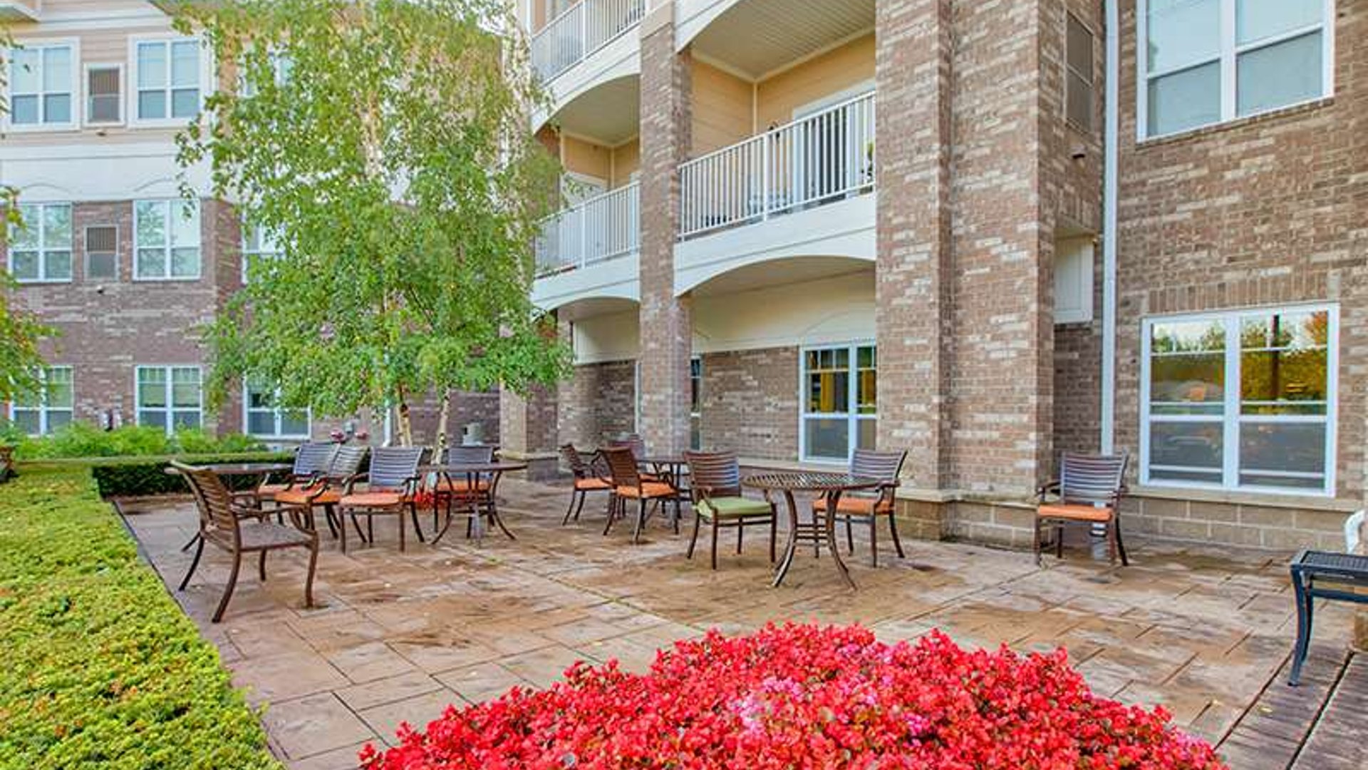 System.Collections.Generic.List`1[AFS.Common.Models.Photo] - Image 2