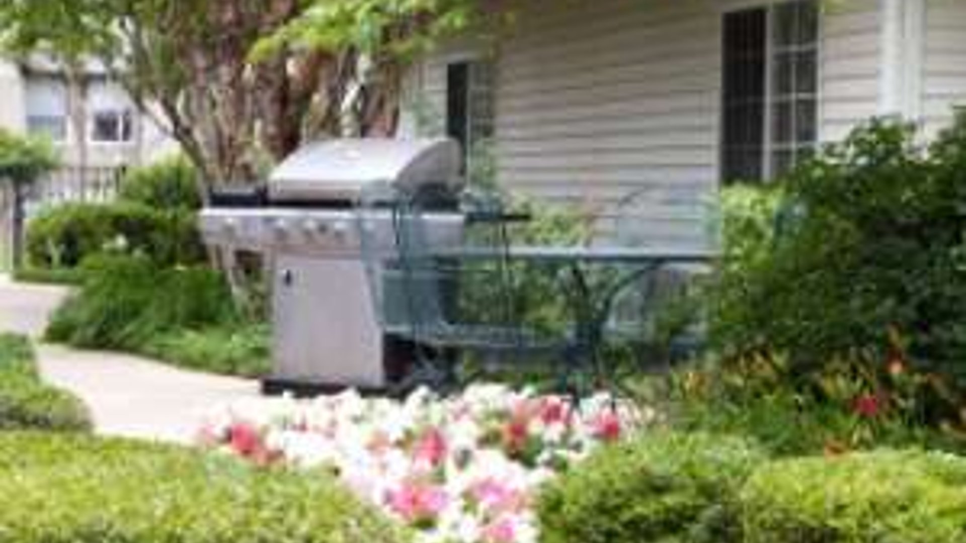 System.Collections.Generic.List`1[AFS.Common.Models.Photo] - Image 1