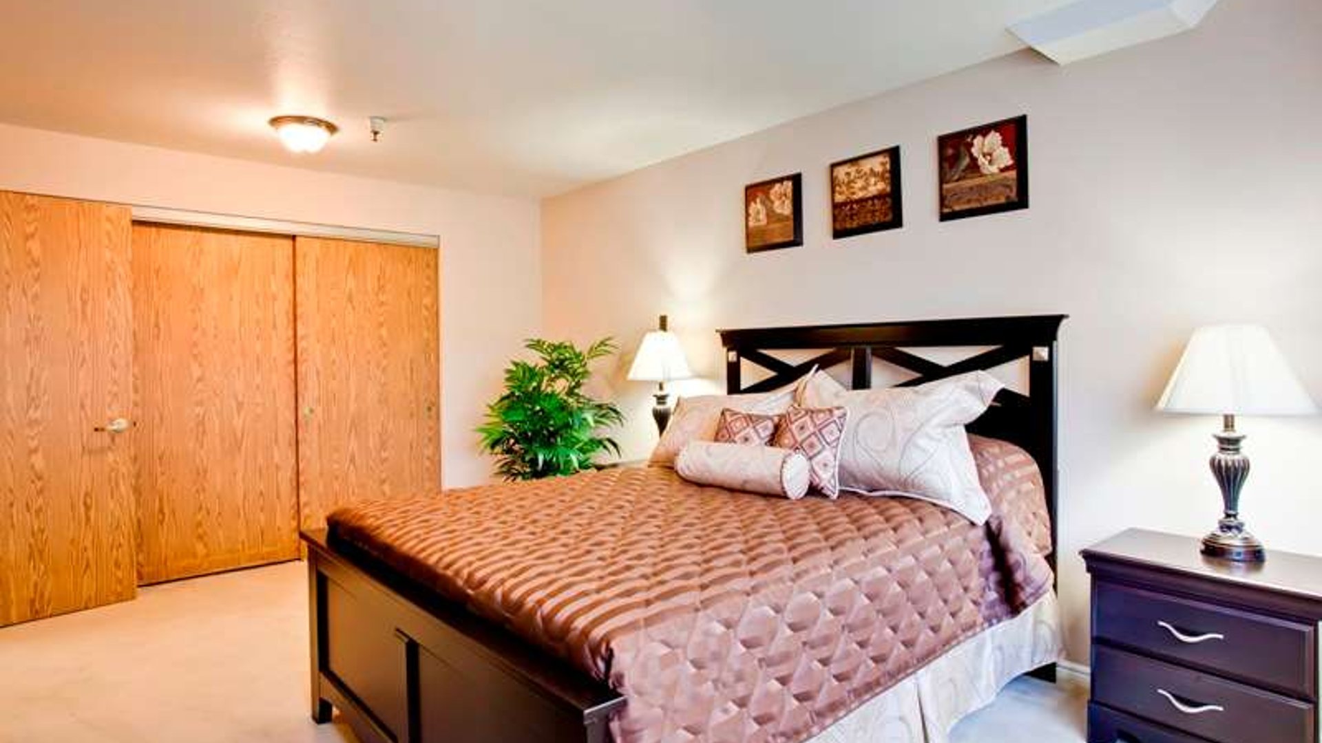 System.Collections.Generic.List`1[AFS.Common.Models.Photo] - Image 5