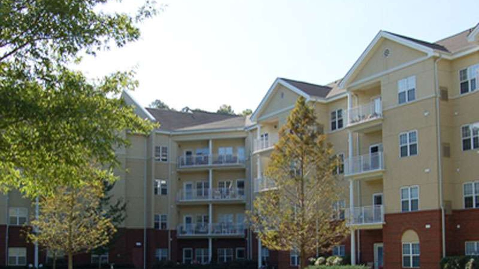 System.Collections.Generic.List`1[AFS.Common.Models.Photo] - Image 1