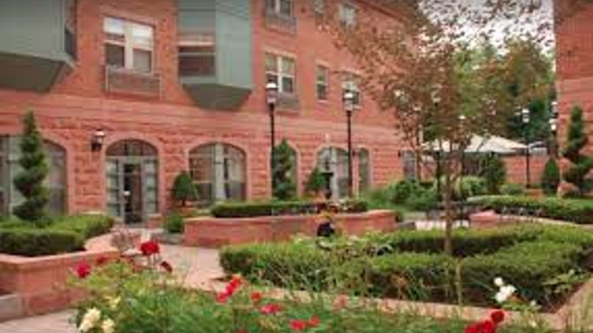 System.Collections.Generic.List`1[AFS.Common.Models.Photo] - Image 1