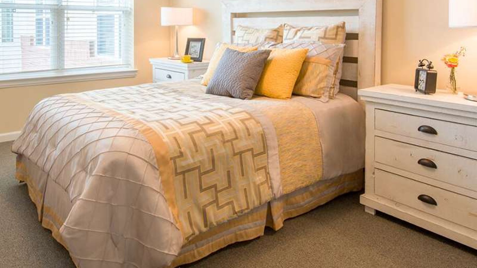 System.Collections.Generic.List`1[AFS.Common.Models.Photo] - Image 4