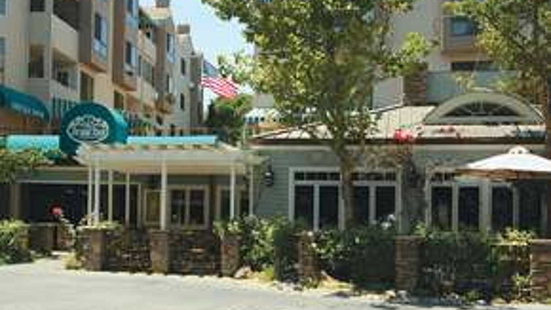 System.Collections.Generic.List`1[AFS.Common.Models.Photo] - Image 1