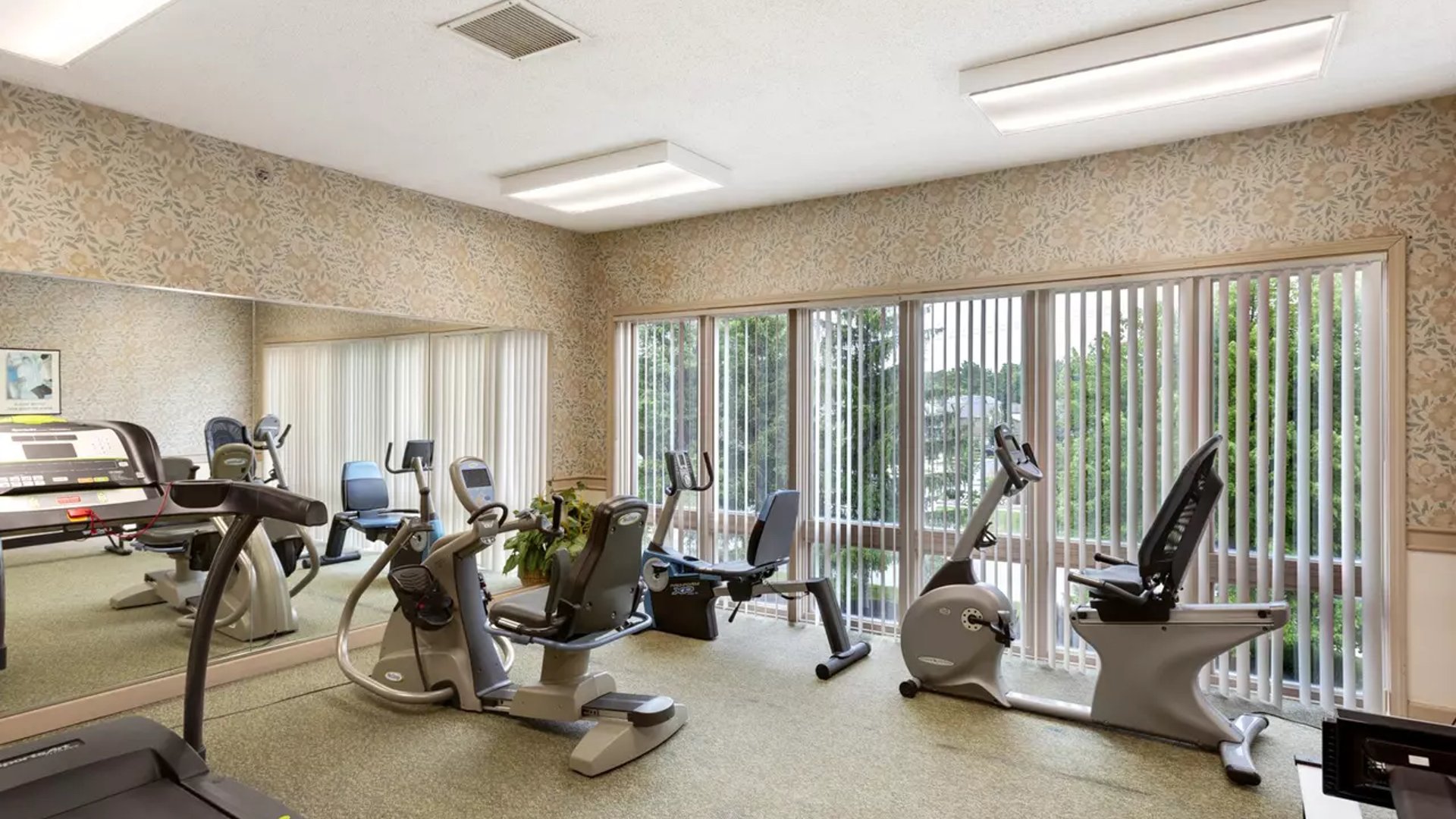 System.Collections.Generic.List`1[AFS.Common.Models.Photo] - Image 5