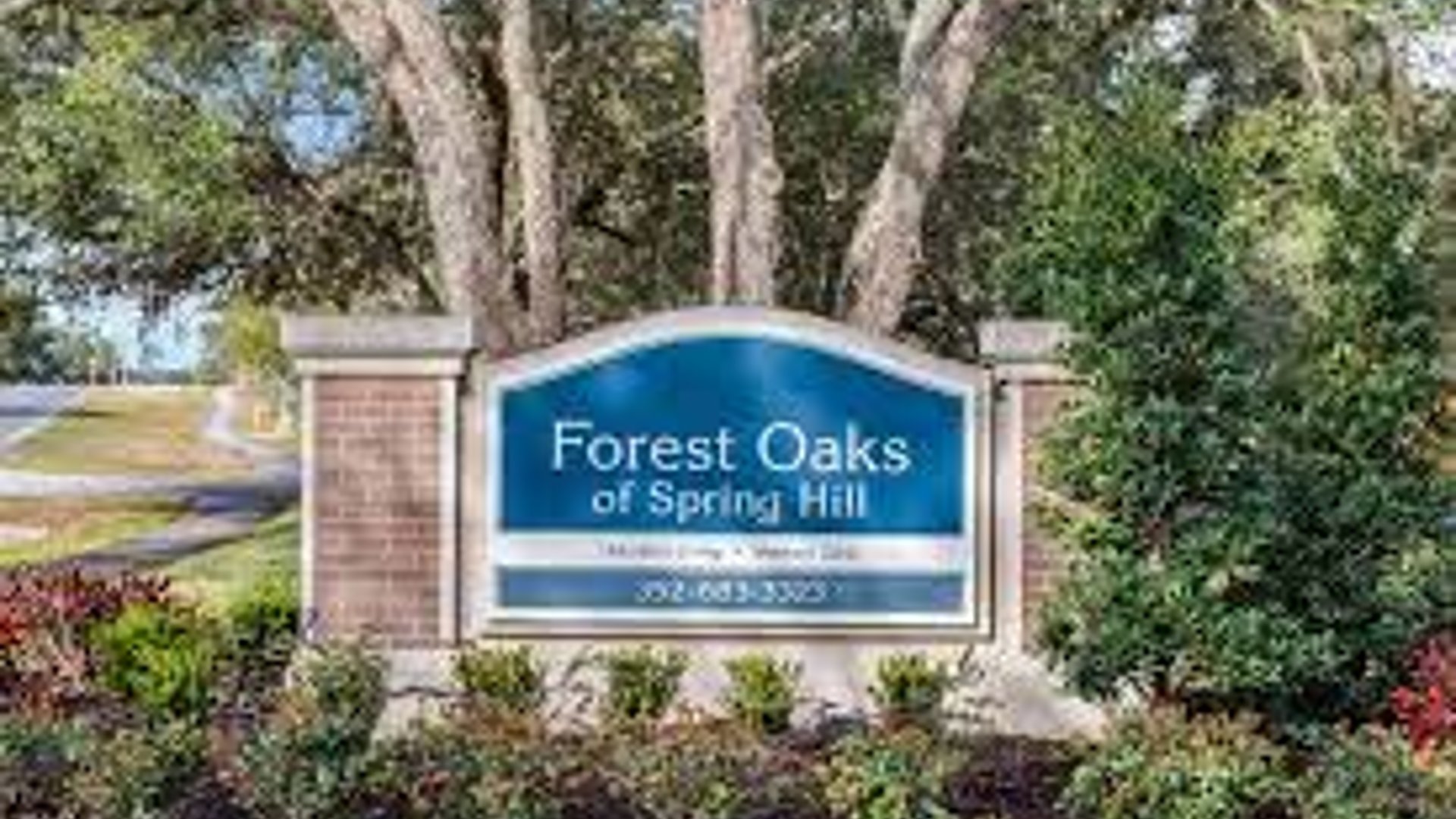 System.Collections.Generic.List`1[AFS.Common.Models.Photo] - Image 1