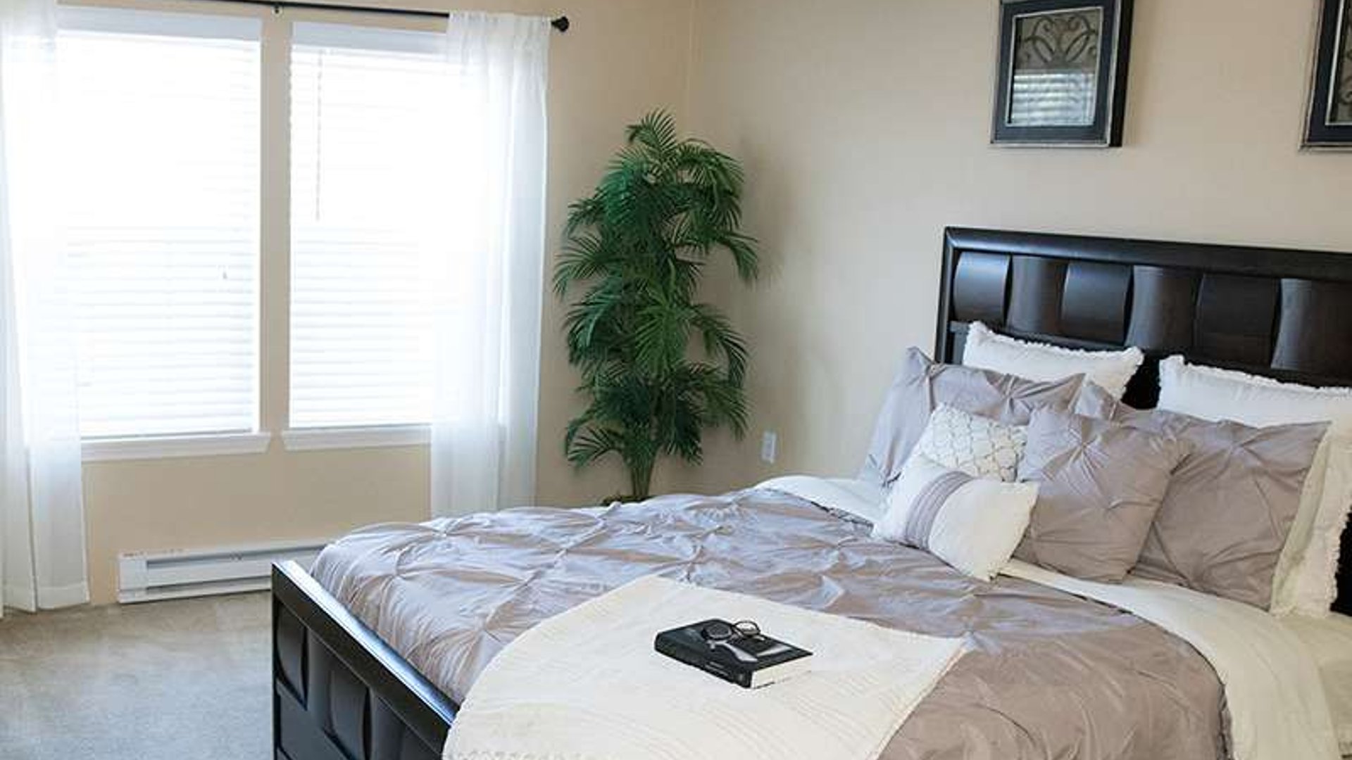 System.Collections.Generic.List`1[AFS.Common.Models.Photo] - Image 4