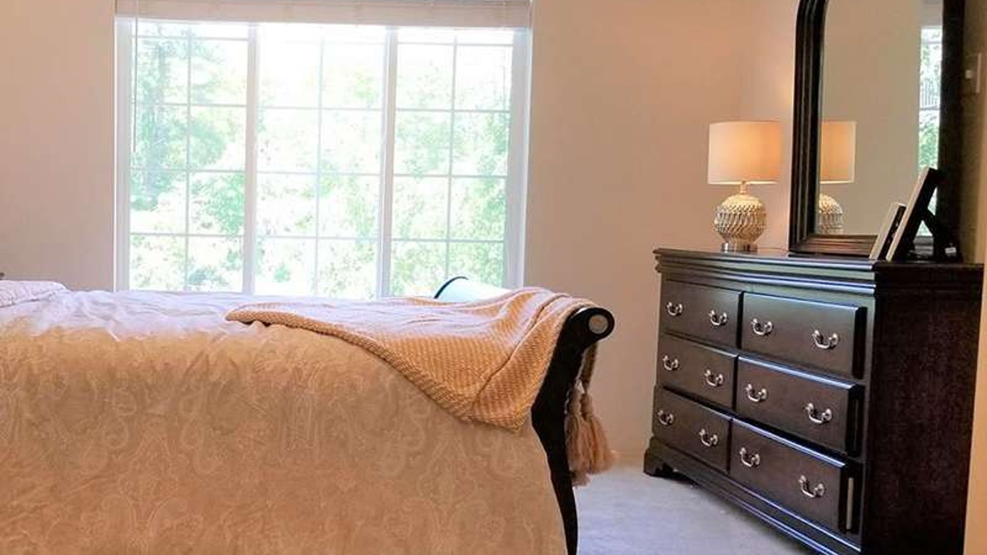 System.Collections.Generic.List`1[AFS.Common.Models.Photo] - Image 4