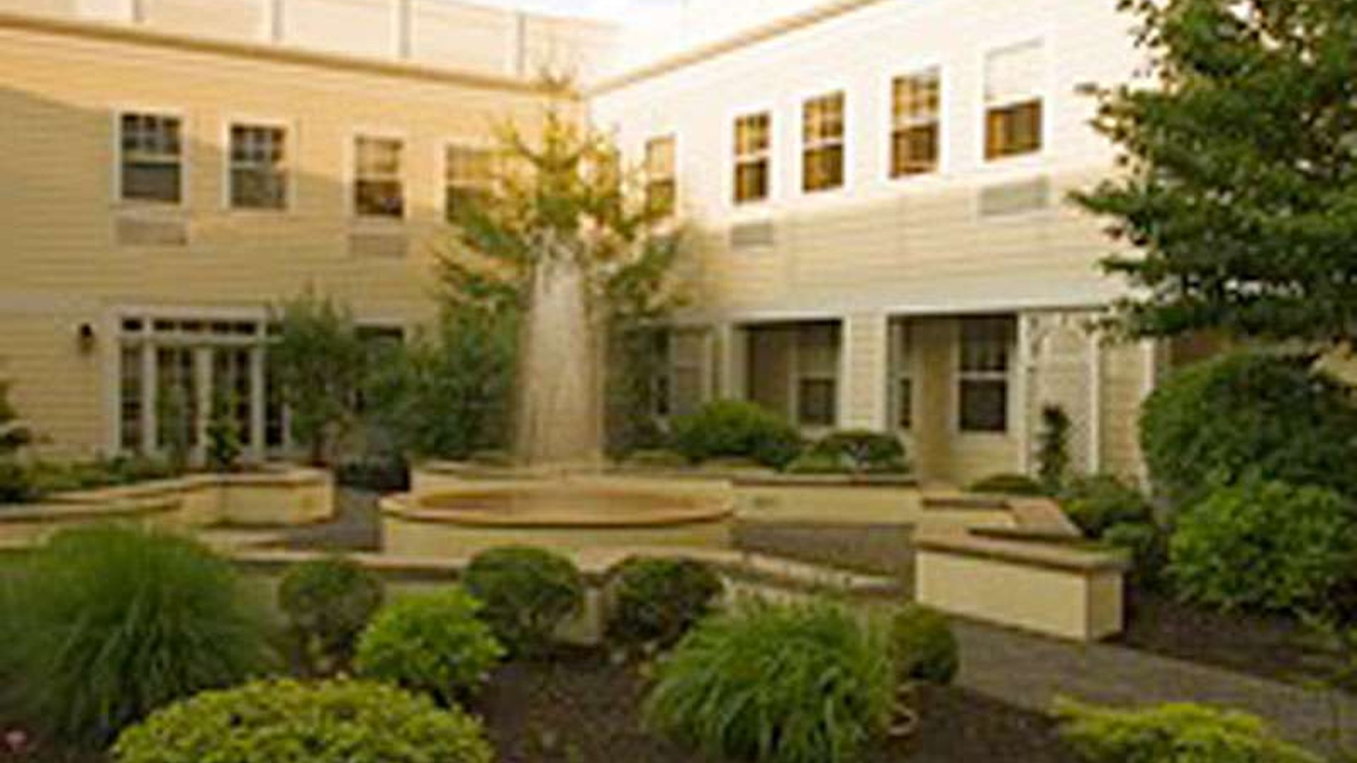 System.Collections.Generic.List`1[AFS.Common.Models.Photo] - Image 5