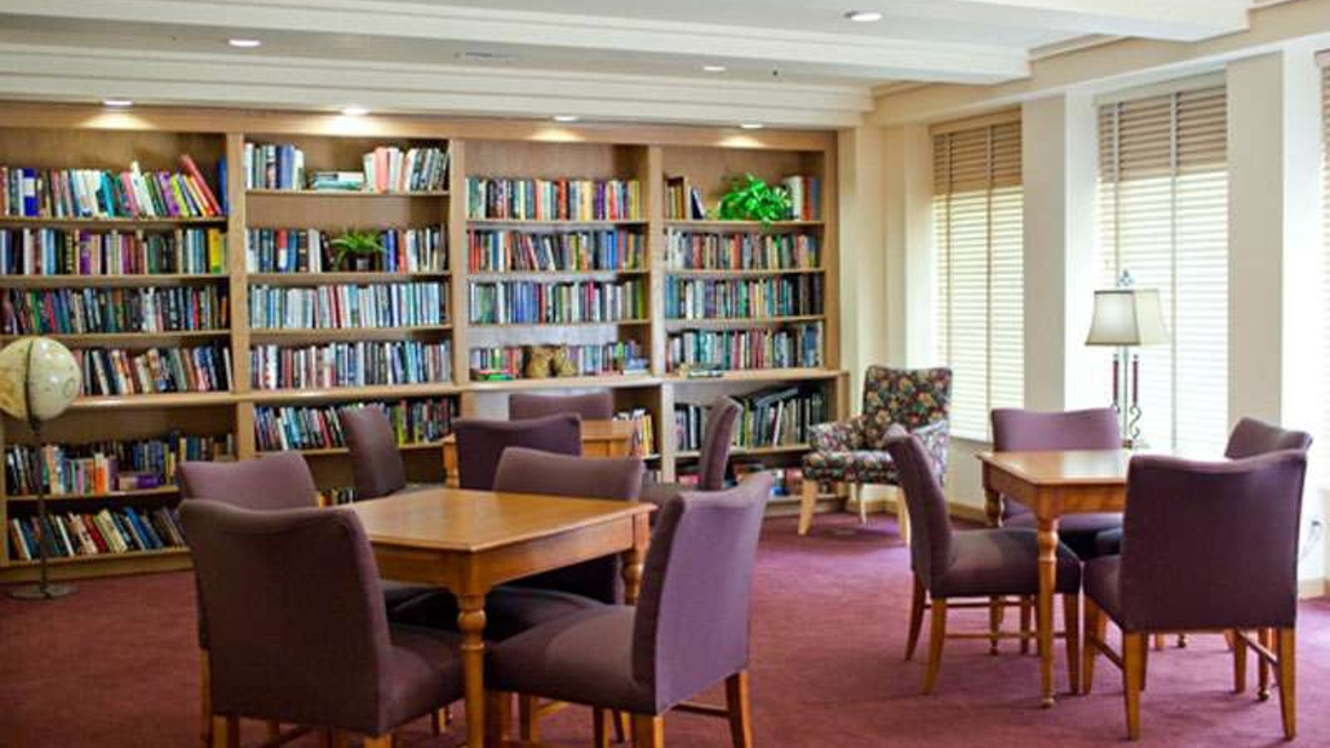 System.Collections.Generic.List`1[AFS.Common.Models.Photo] - Image 4