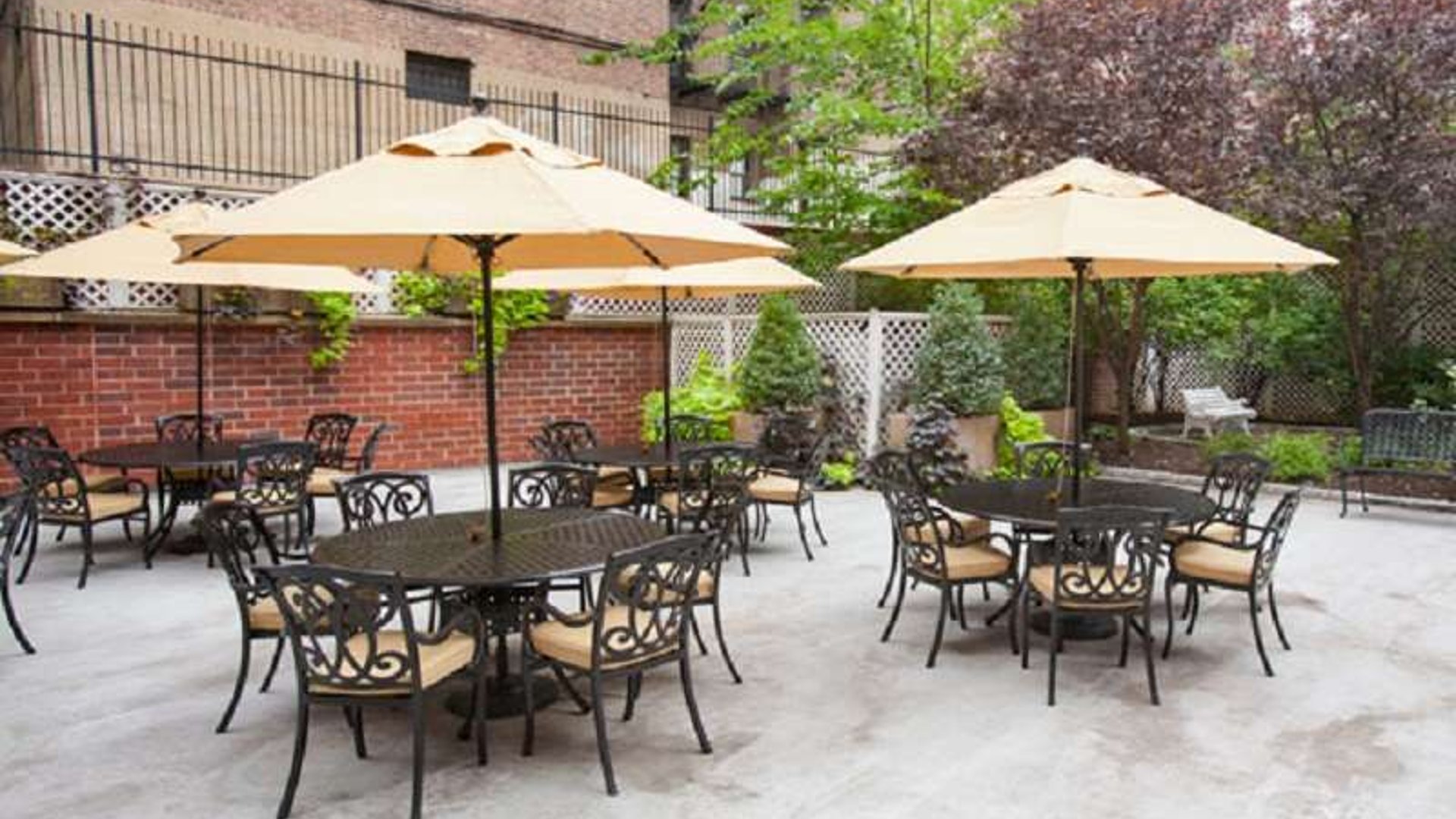 System.Collections.Generic.List`1[AFS.Common.Models.Photo] - Image 5